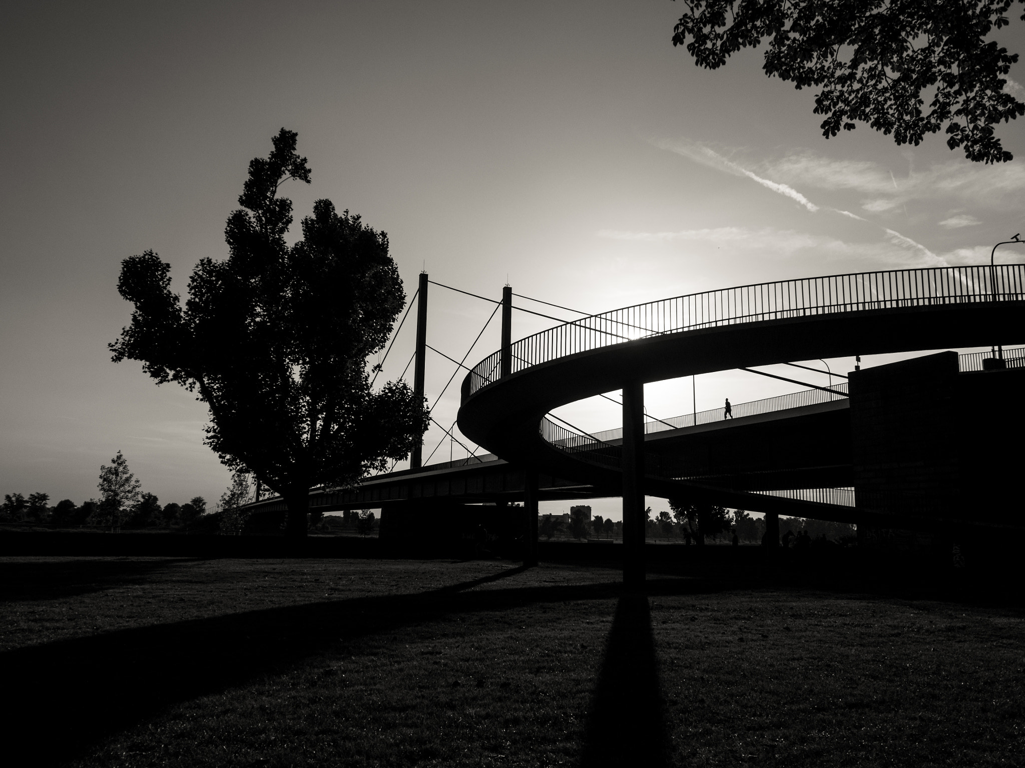 Olympus OM-D E-M10 II sample photo. Big.city.bridge photography