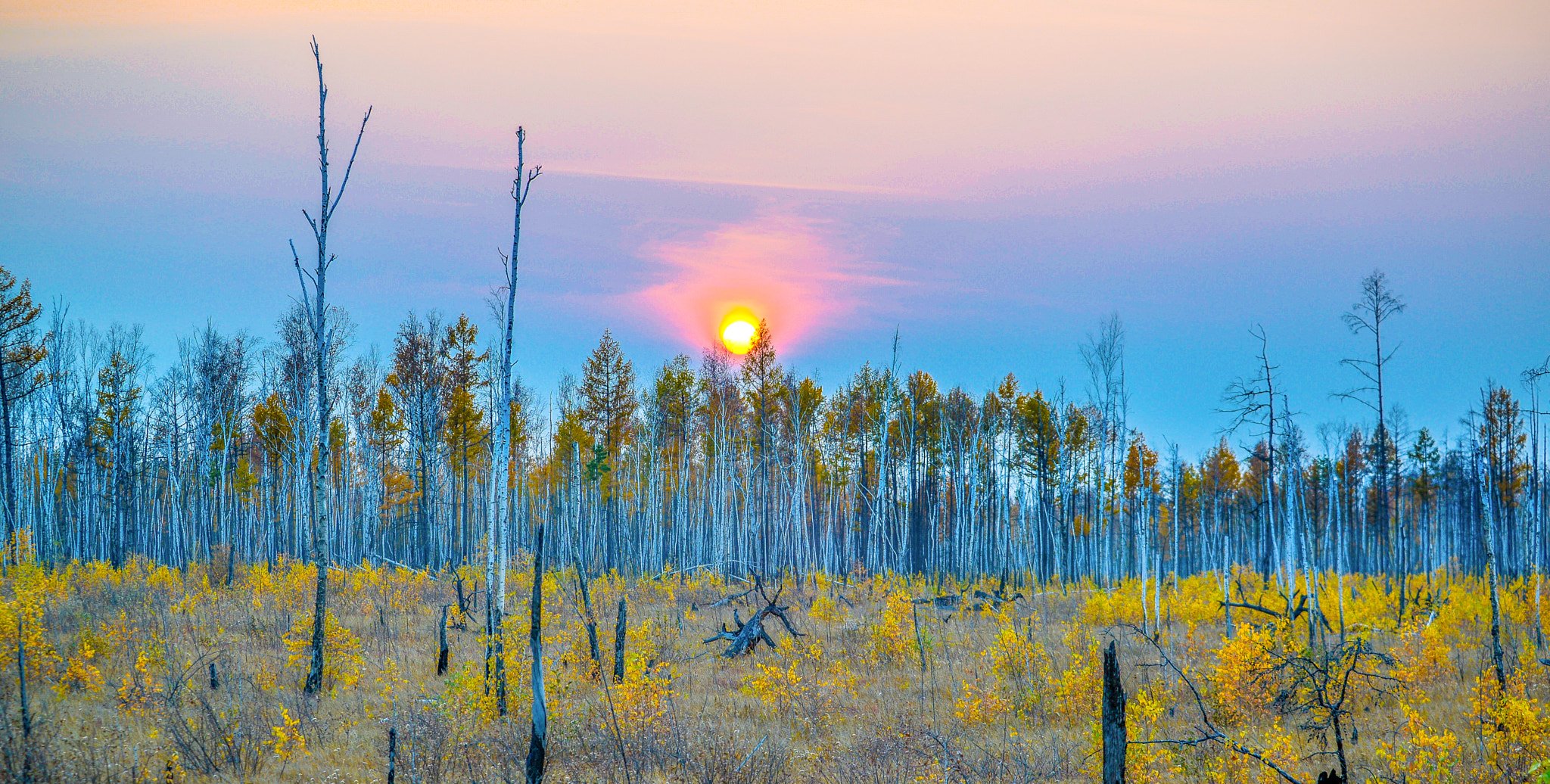 AF-S Zoom-Nikkor 80-200mm f/2.8D IF-ED sample photo. Yakutsk photography