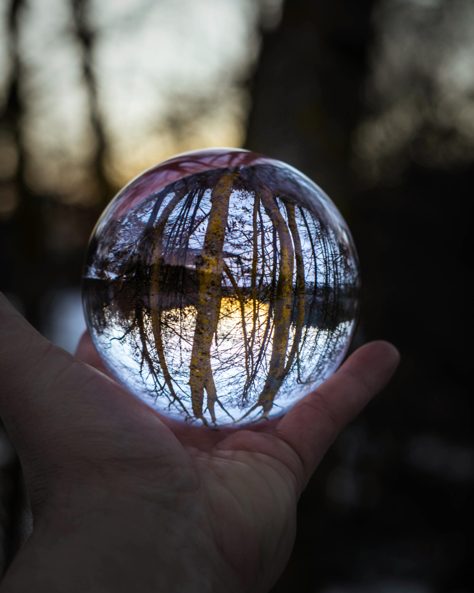 Sony a6000 sample photo. Crystal ball told me to get outside photography