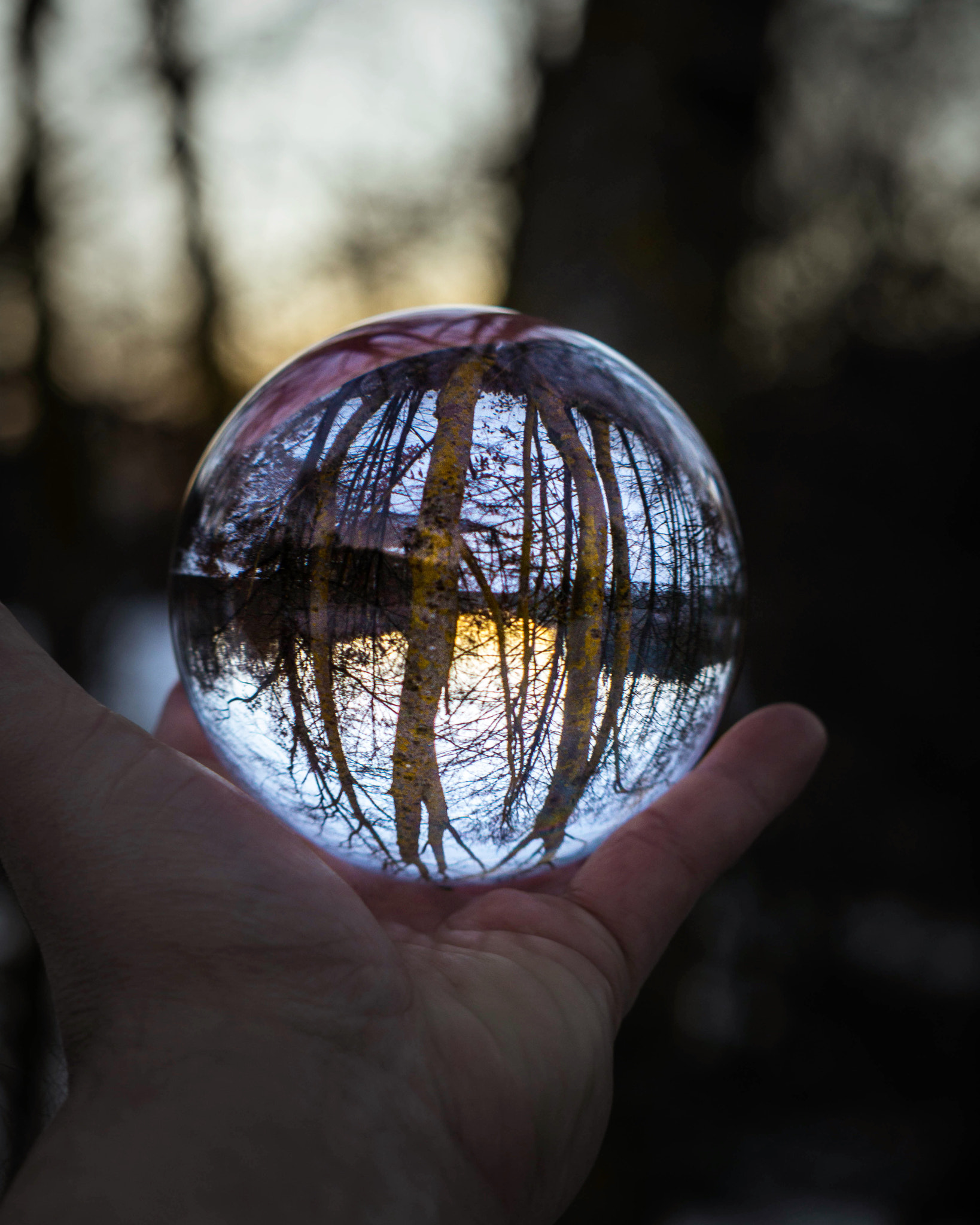 Sony FE 50mm F1.8 sample photo. Crystal ball told me to get outside photography