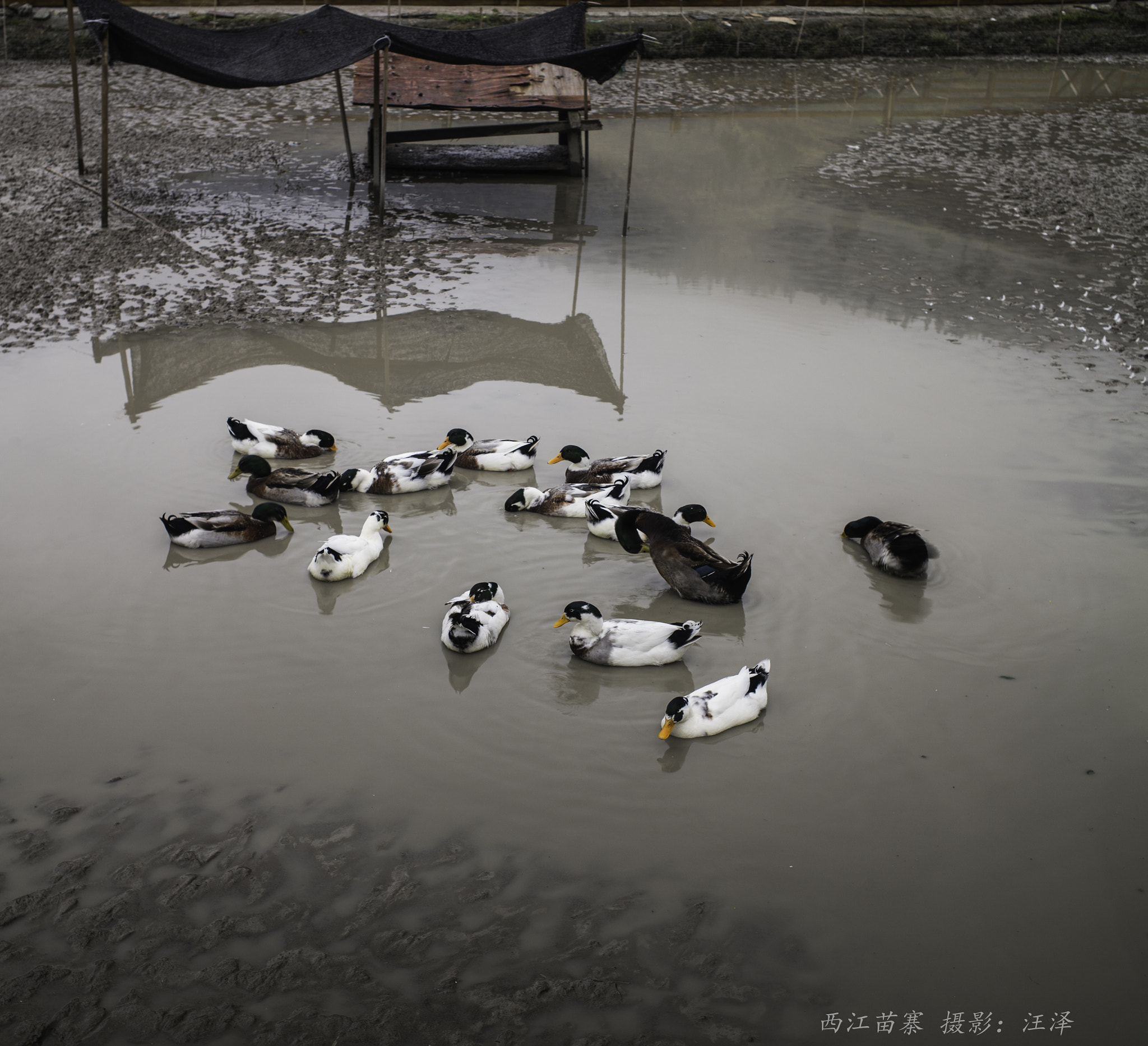 Leica M (Typ 240) + Elmarit-M 1:2.8/21 sample photo. Guizhou photography