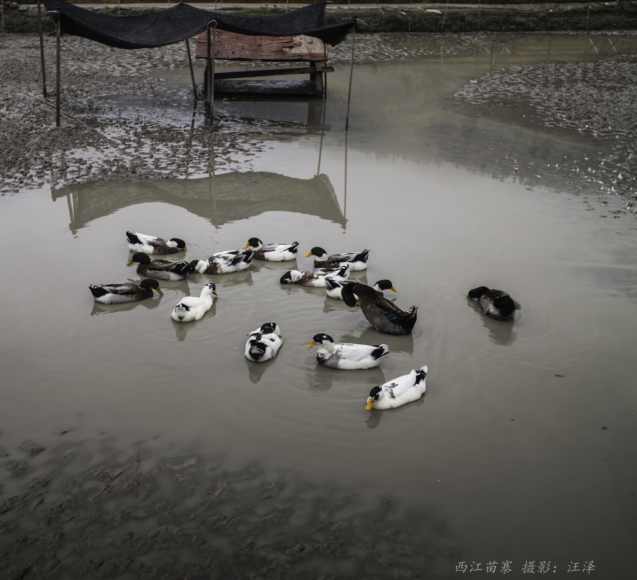 Elmarit-M 1:2.8/21 sample photo. Guizhou photography