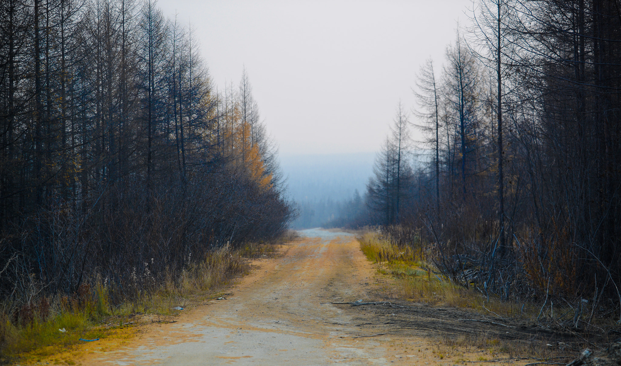 AF-S Zoom-Nikkor 80-200mm f/2.8D IF-ED sample photo. Road to nowhere photography