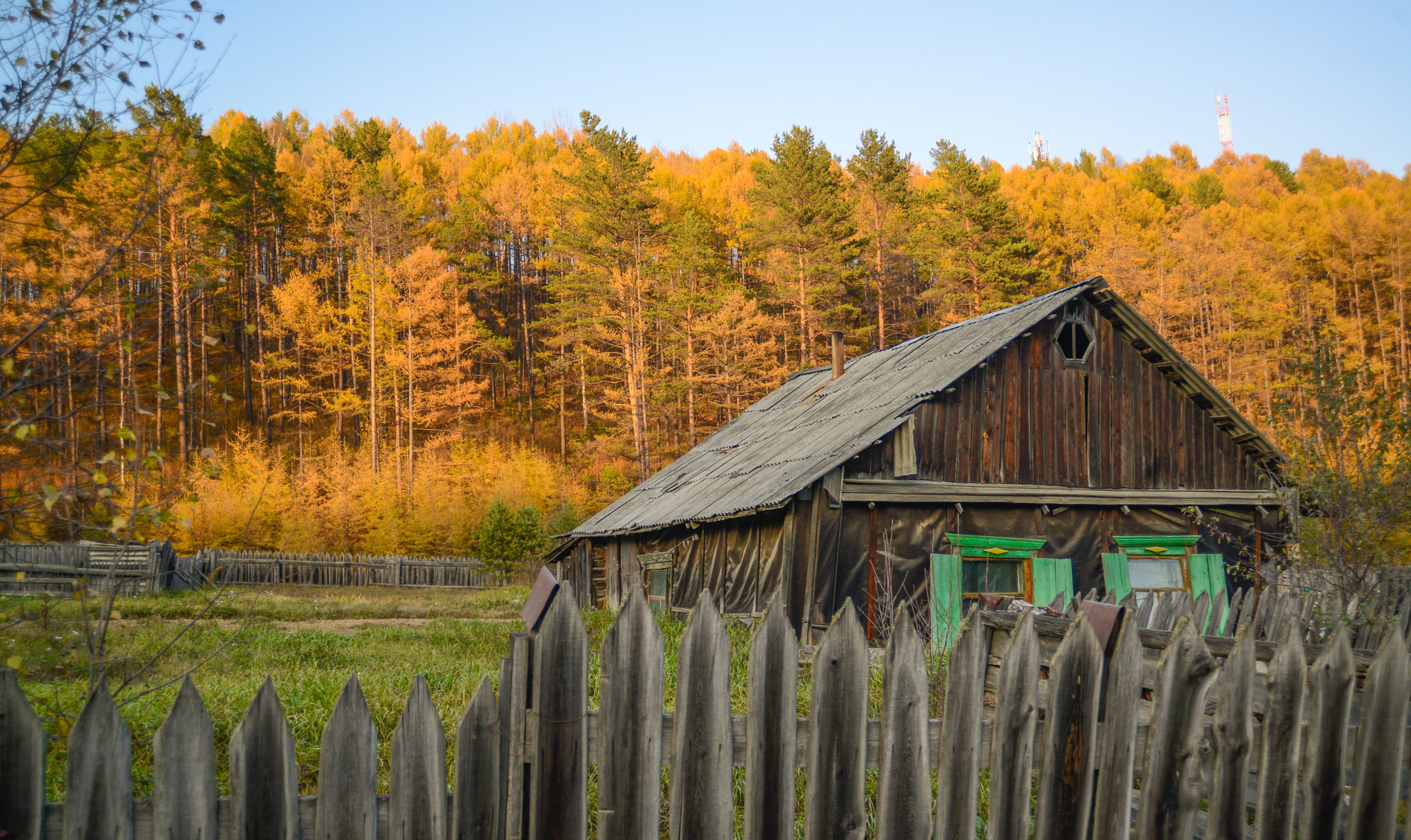 Nikon D600 sample photo. осень в Якутии photography