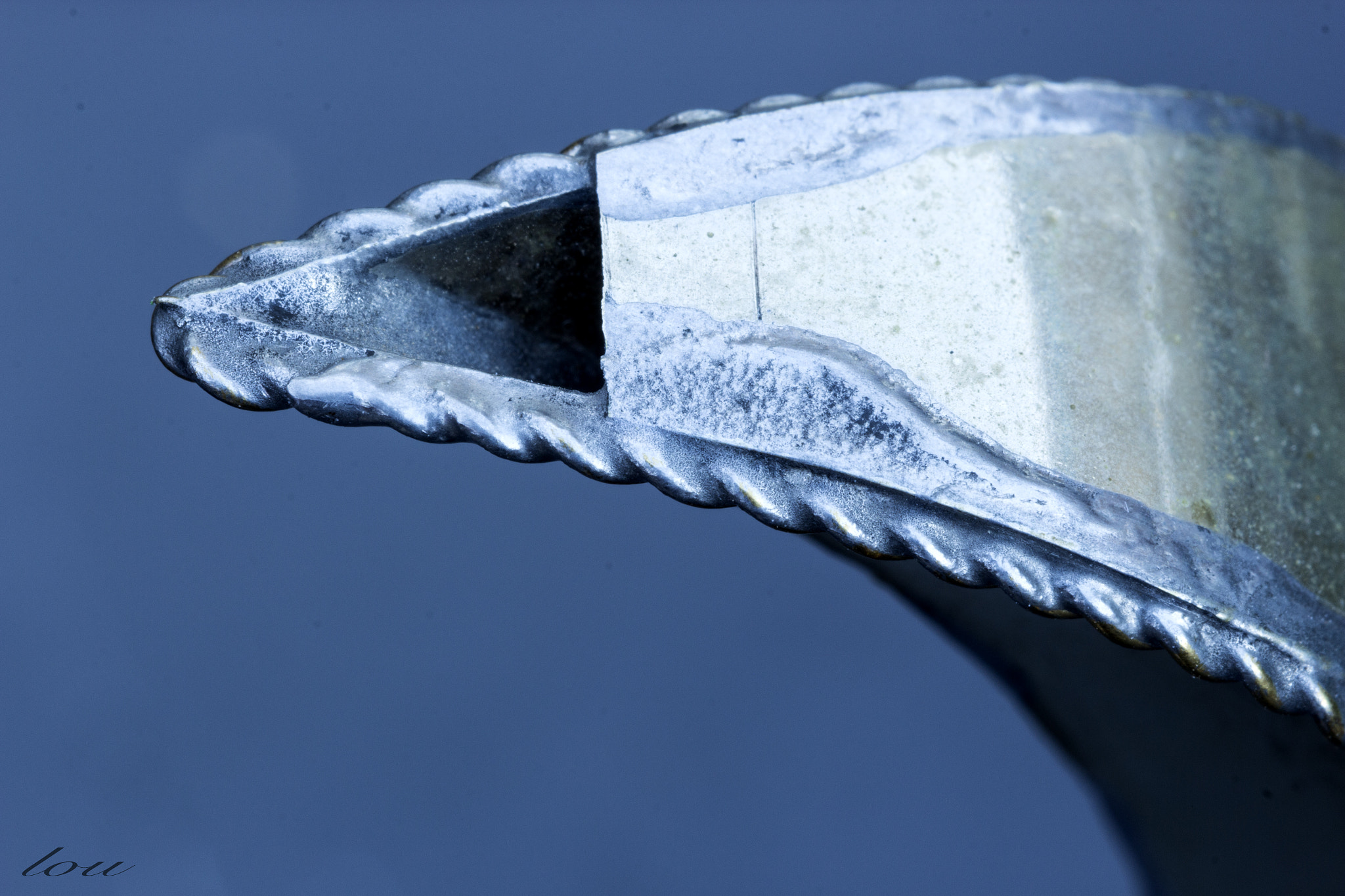 Canon EF 100mm F2.8 Macro USM sample photo. Spout photography