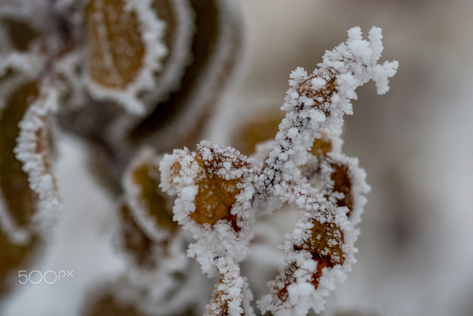 Sigma 105mm F2.8 EX DG OS HSM sample photo. Crystals photography