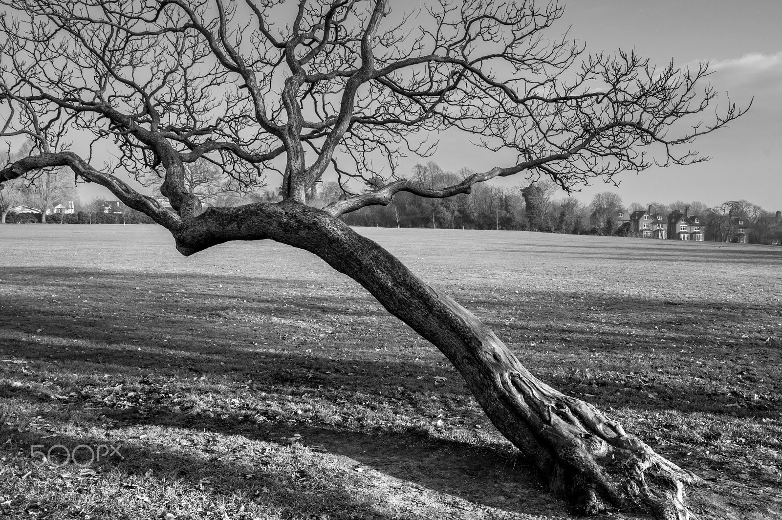 Sigma 10-20mm F3.5 EX DC HSM sample photo. Unusual shape photography
