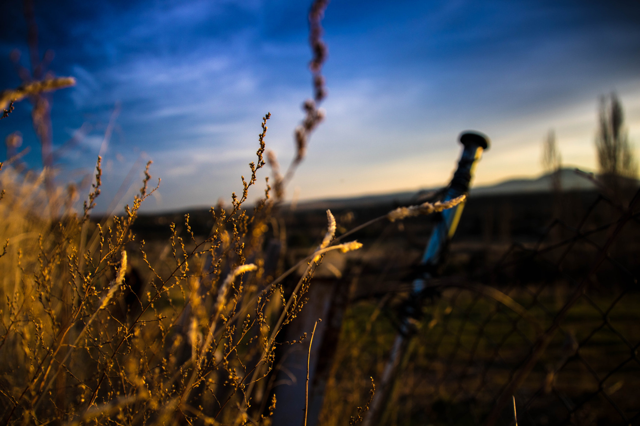 Canon EOS 750D (EOS Rebel T6i / EOS Kiss X8i) sample photo. Fence photography