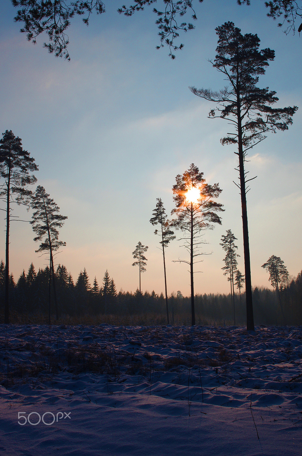 Pentax smc DA 35mm F2.4 AL sample photo. Winter in lithuania photography