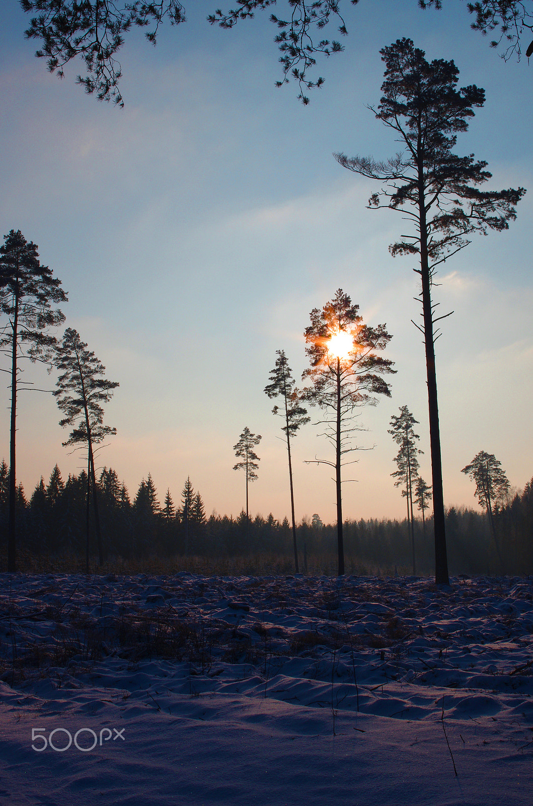 Pentax K-5 IIs sample photo. Winter in lithuania photography