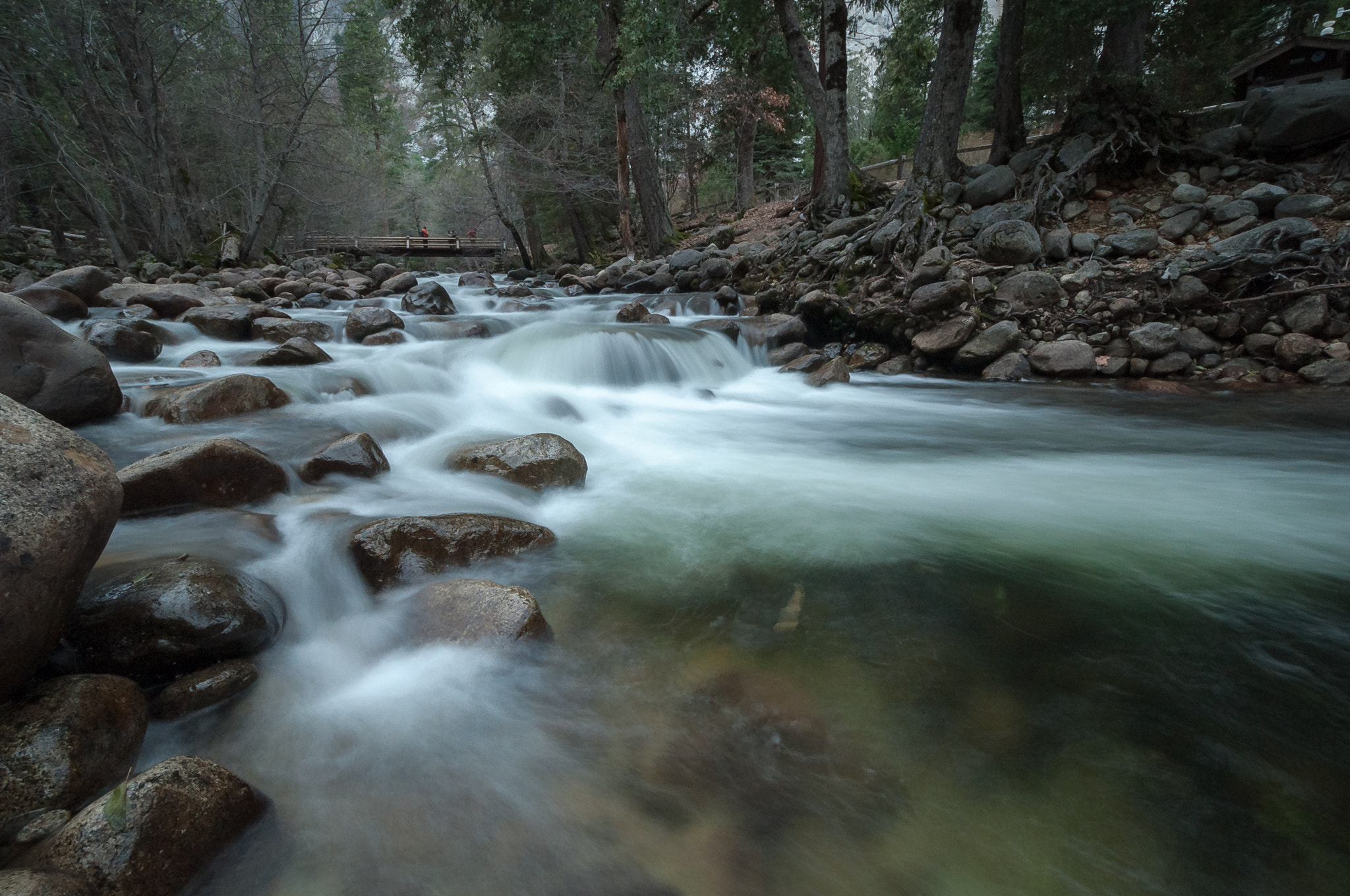 Nikon D5000 sample photo. Flow photography