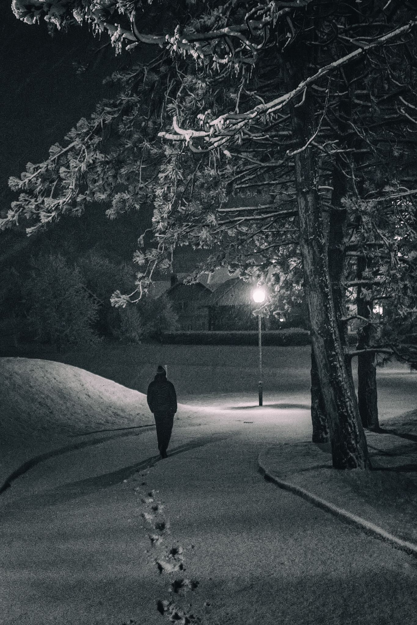 Nikon D7200 + Sigma 17-35mm F2.8-4 EX DG  Aspherical HSM sample photo. Quiet evening photography