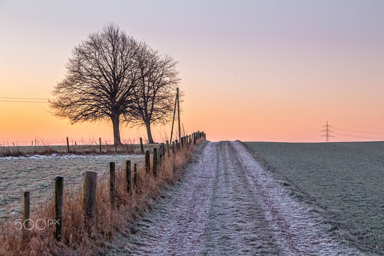 Sigma 17-70mm F2.8-4 DC Macro OS HSM sample photo. Feldweg in winter photography