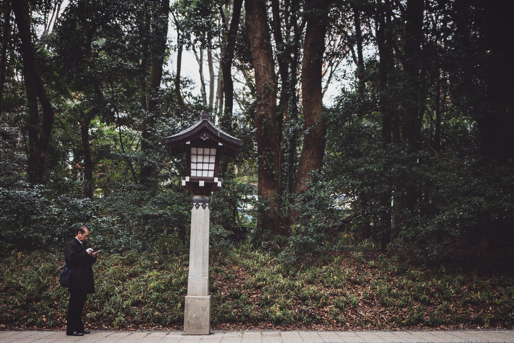 Sony a7 II + Sony E 30mm F3.5 Macro sample photo. Waiting. photography