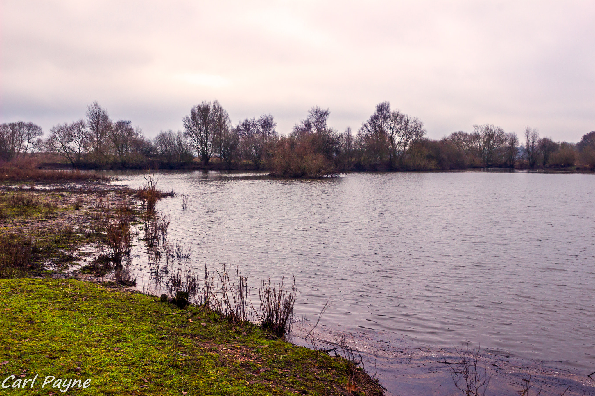 Canon EOS 100D (EOS Rebel SL1 / EOS Kiss X7) + Canon EF 400mm f/2.8L sample photo. Croxall lakes photography