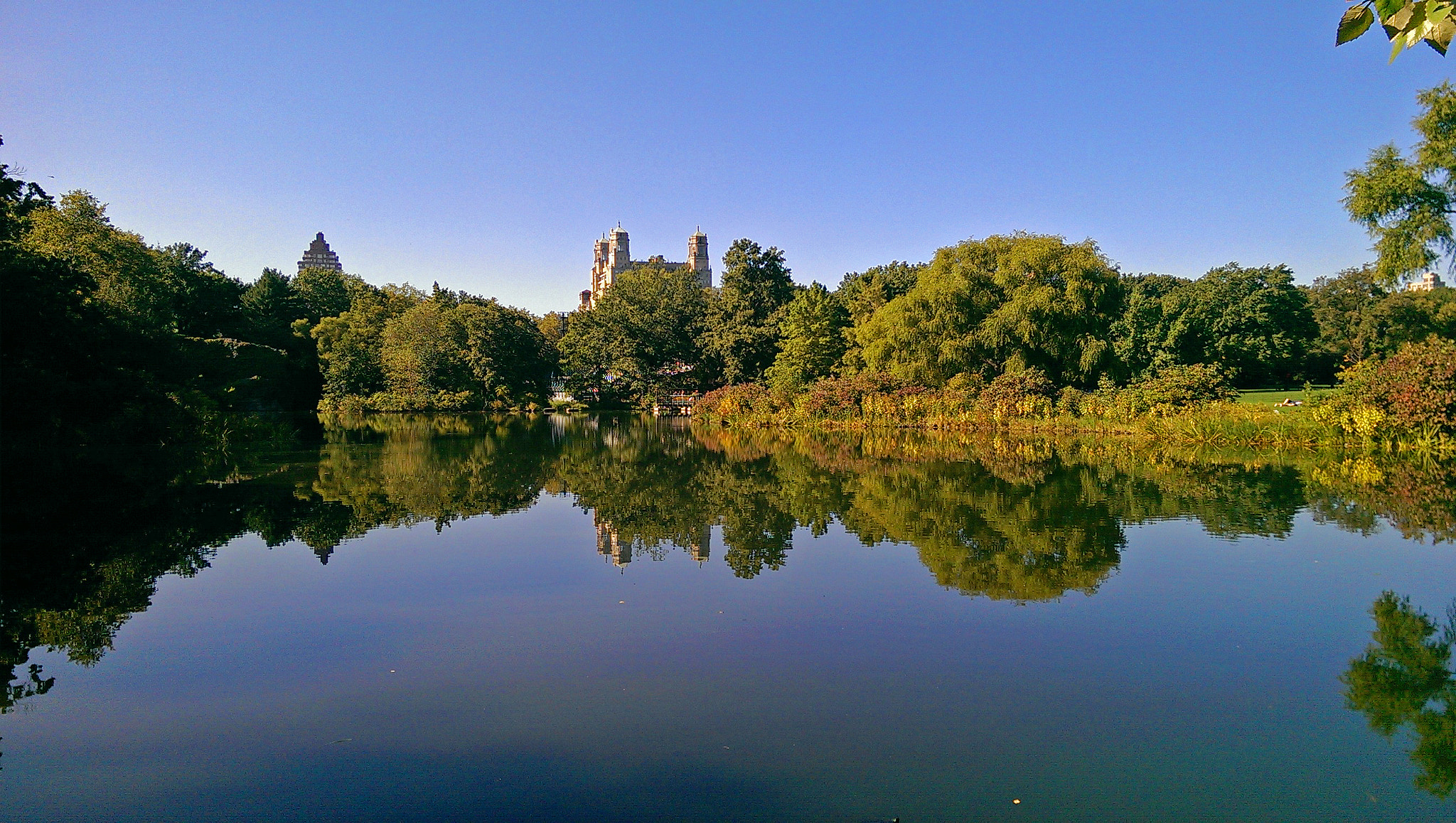 HTC ONE MINI sample photo. Turtle pond central park photography