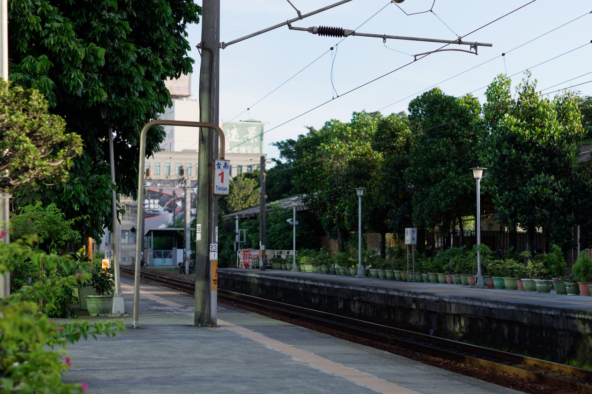 ZEISS Loxia 50mm F2 sample photo. Tainan 1 photography