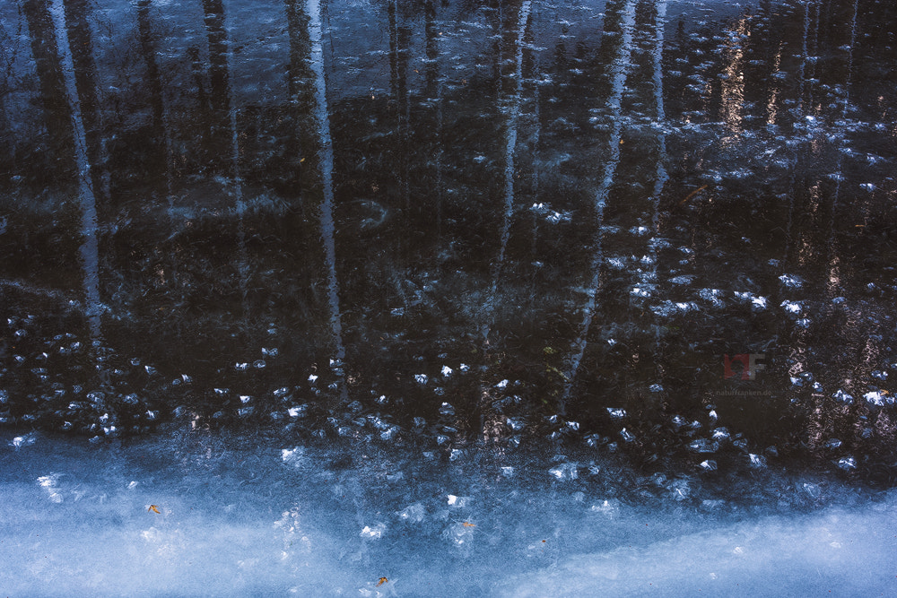 Nikon D810 sample photo. Frozen river photography
