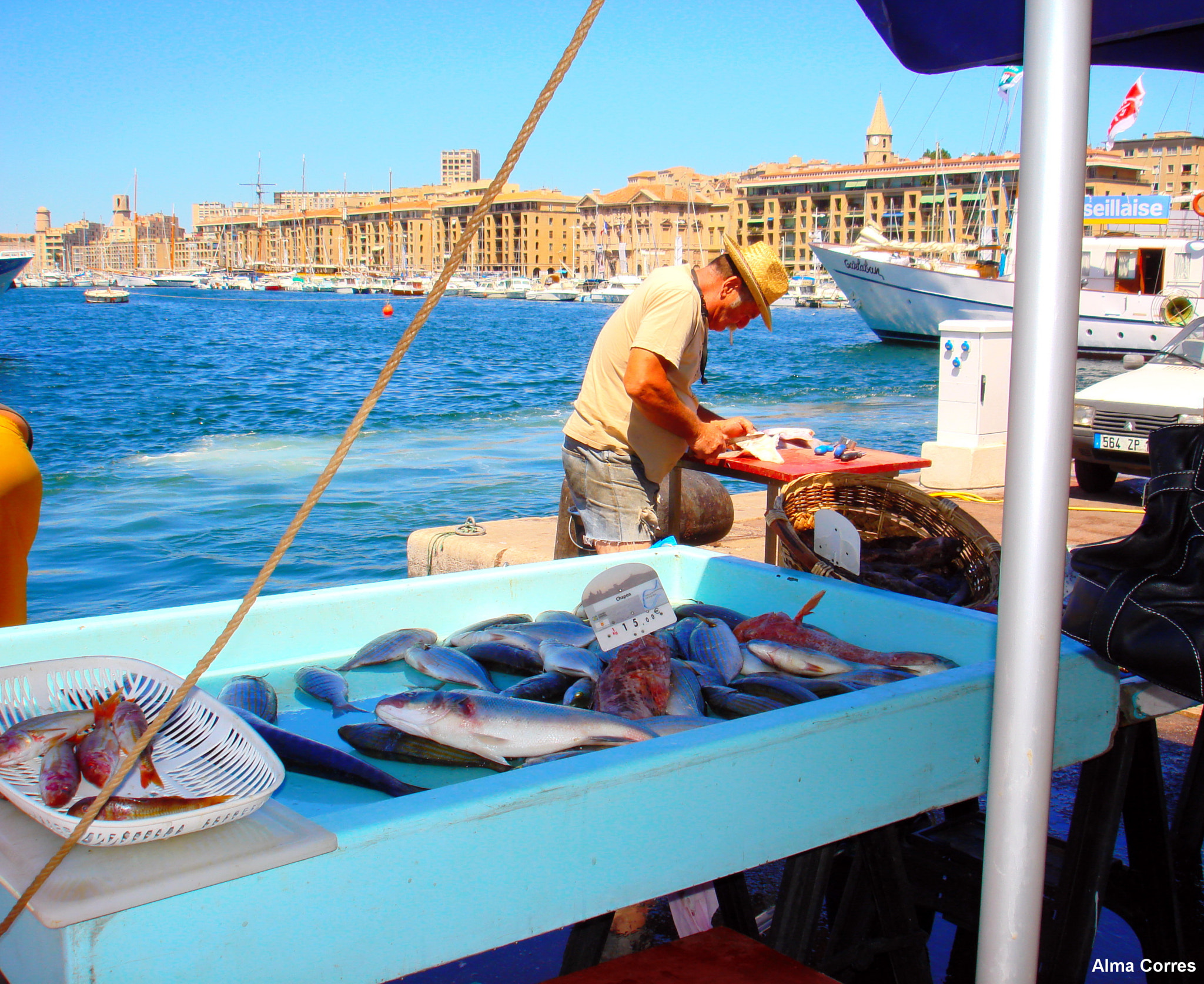 Sony DSC-W100 sample photo. Fish market at marseille photography