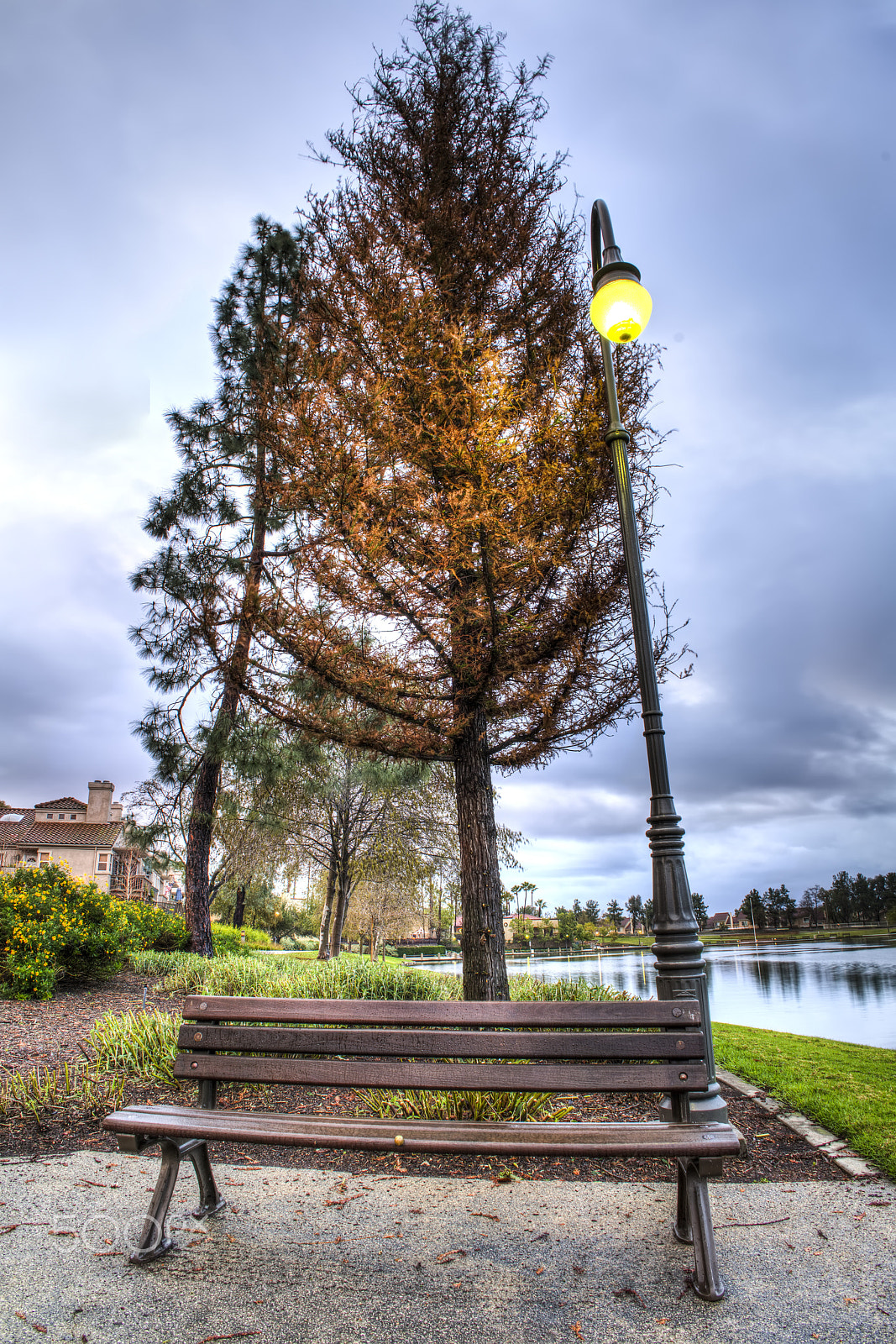 Sony FE 28mm F2 sample photo. California rain - rancho santa margarita, ca photography