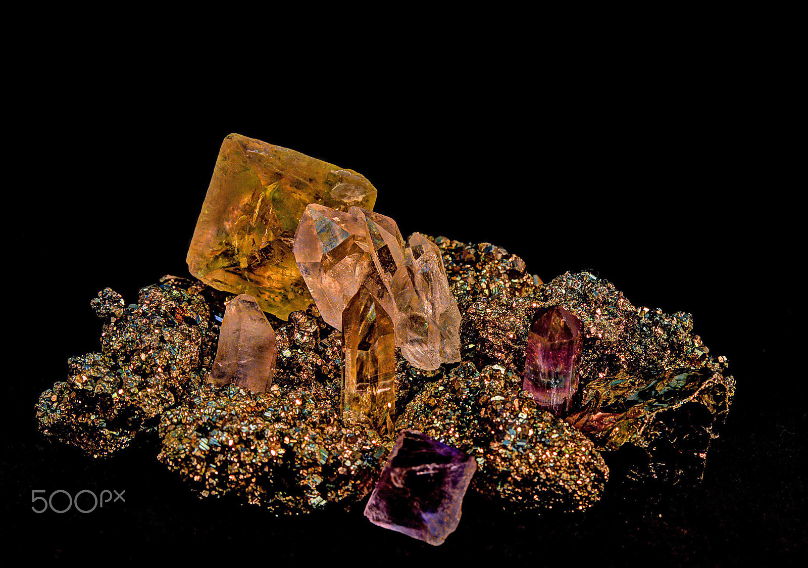 Canon EF-S 60mm F2.8 Macro USM sample photo. Fools gold photography