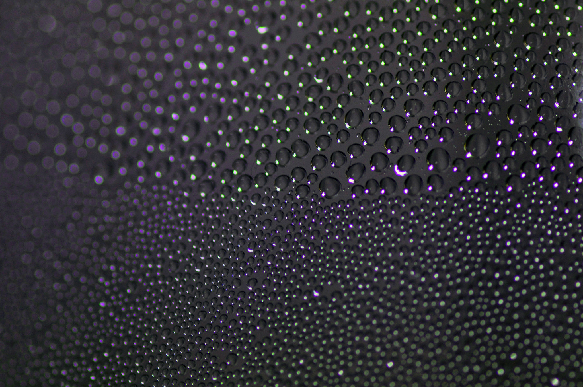 Nikon D5000 sample photo. Drops photography