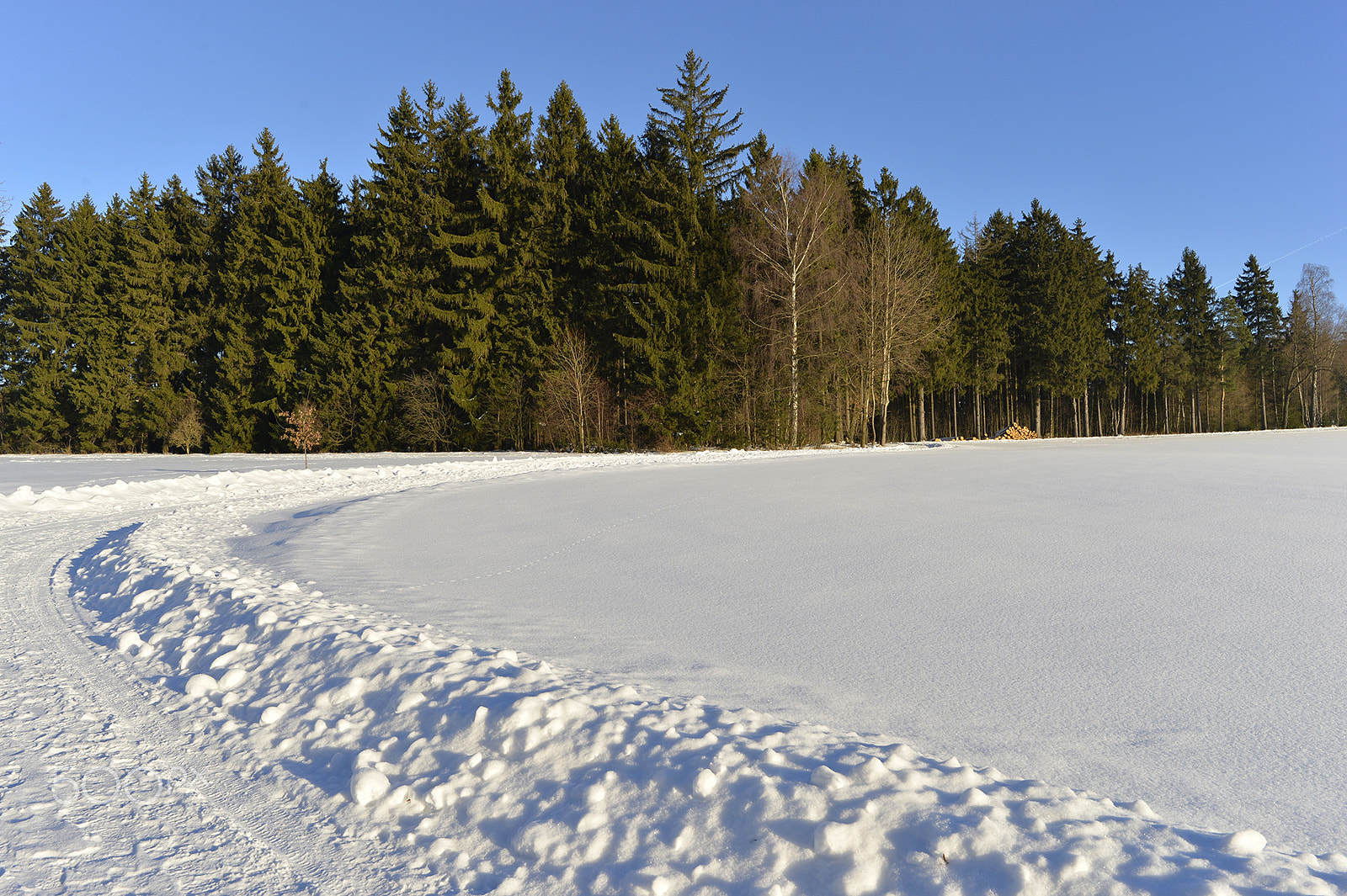 Nikon Df + Nikon AF-S Nikkor 24mm F1.8G ED sample photo. Dsc photography