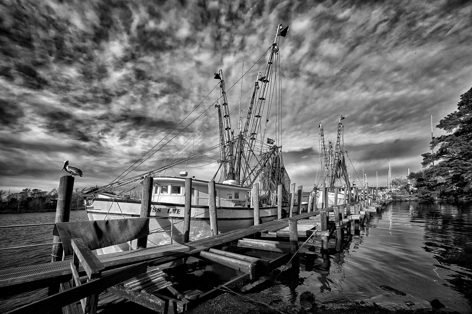 DT 40mm F2.8 SAM sample photo. Miss lue photography