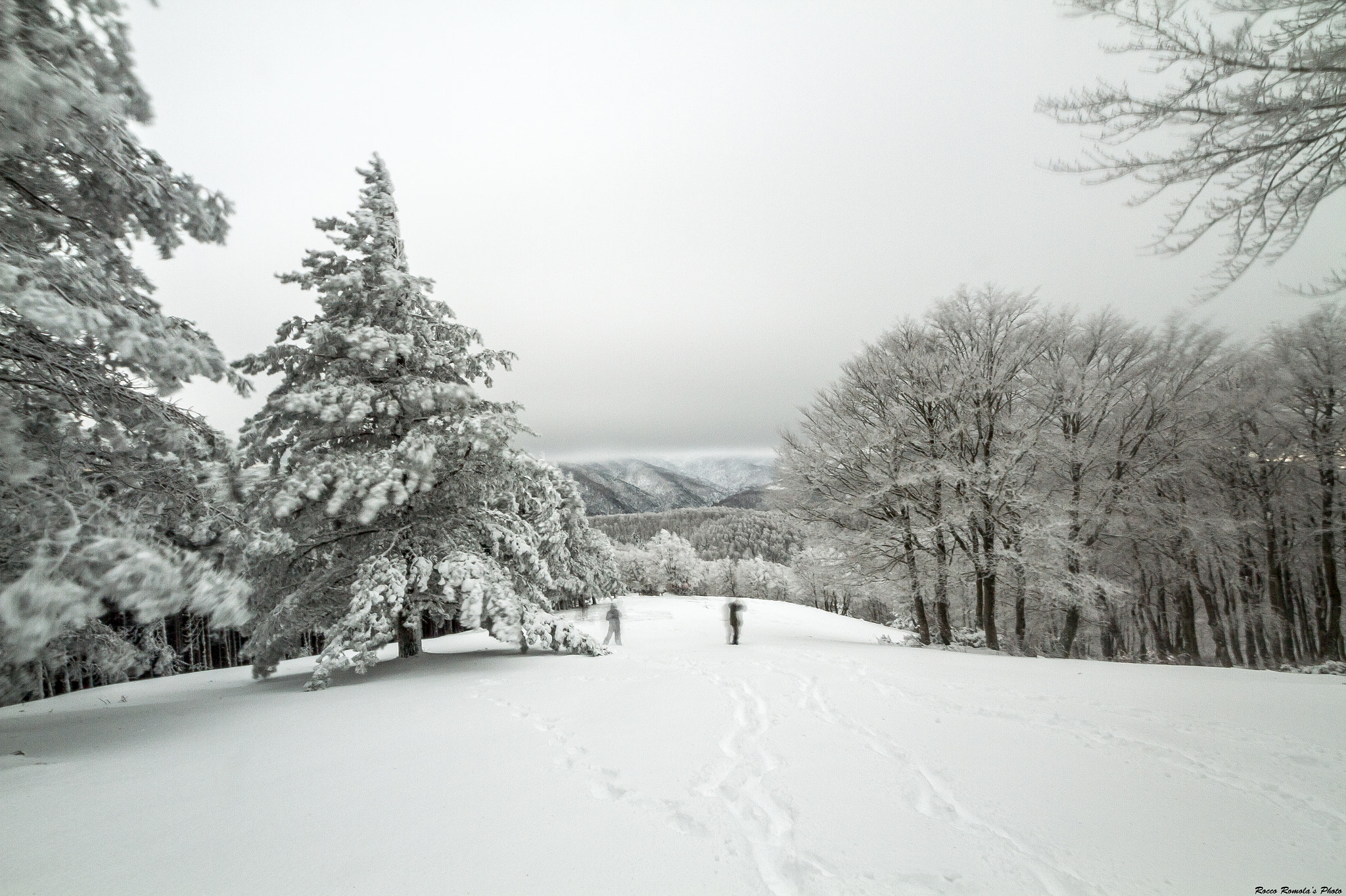 Sigma 8-16mm F4.5-5.6 DC HSM sample photo. White sensation photography
