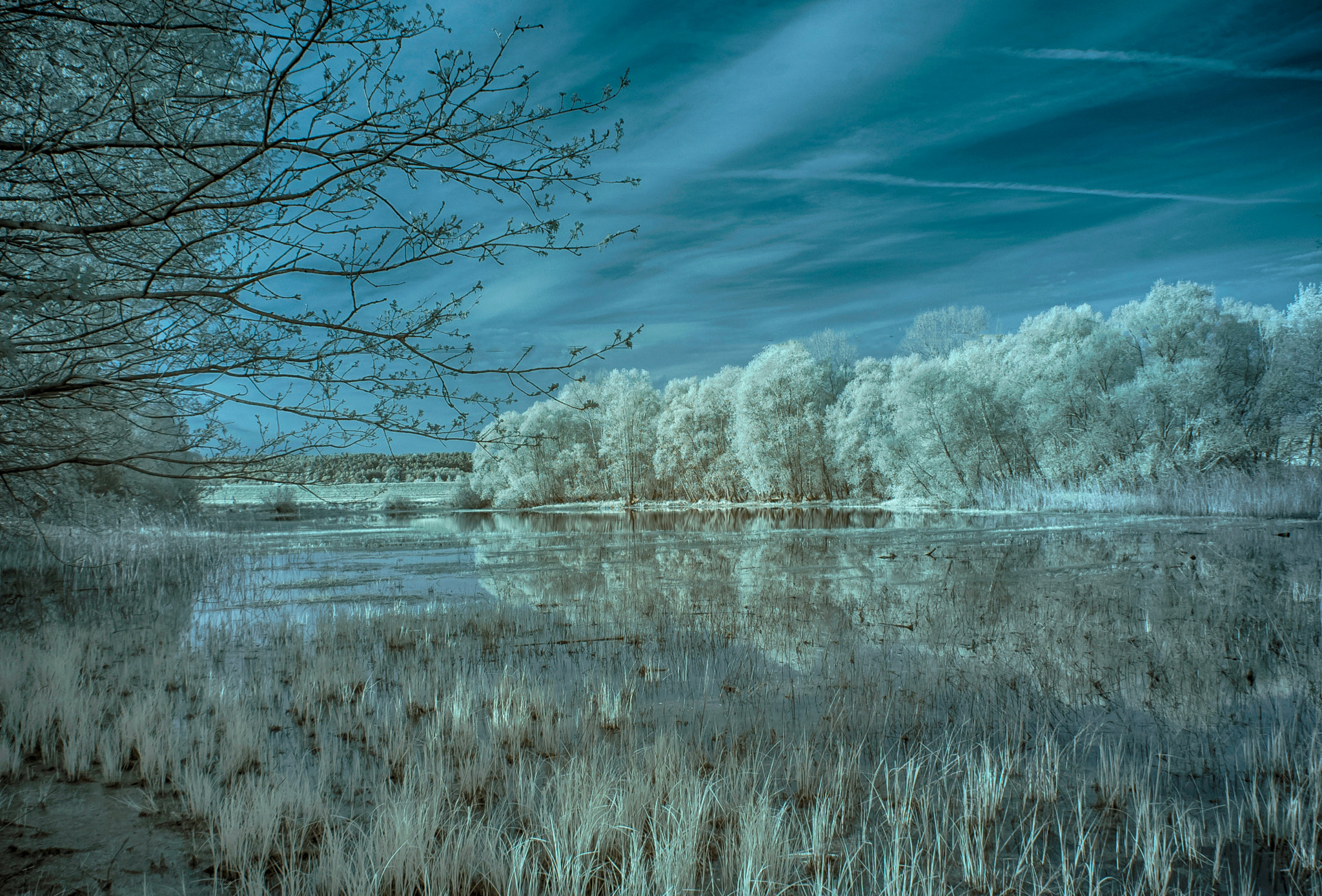 Nikon D70 + Tamron SP AF 17-50mm F2.8 XR Di II VC LD Aspherical (IF) sample photo. Small pond  infrared photography