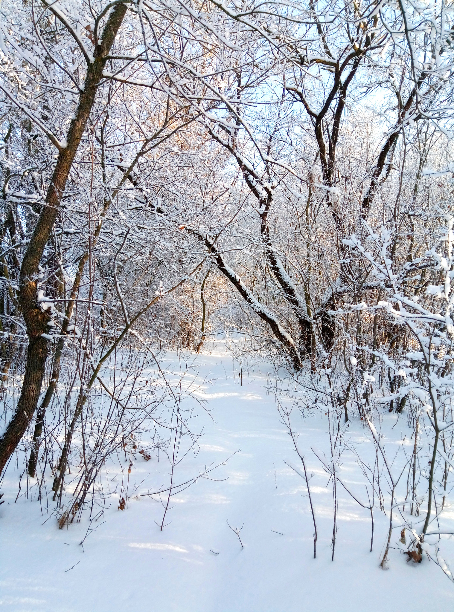 Meizu M3s sample photo. Winter photography