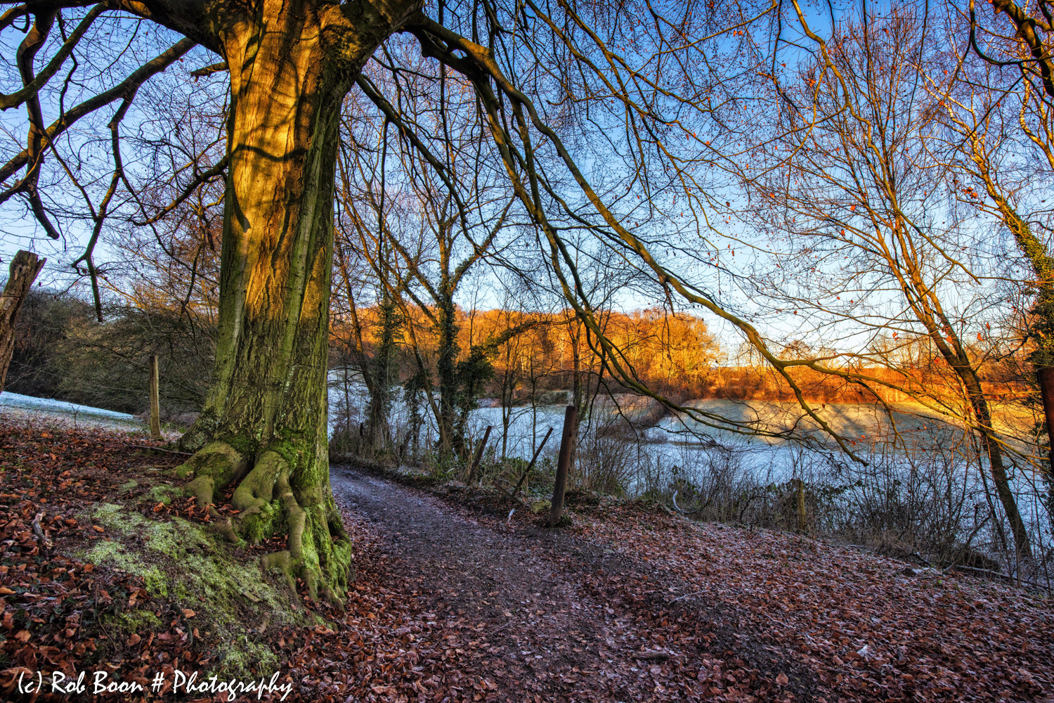 Canon EF 16-35mm F4L IS USM sample photo. Golden light @ mechelen 2 photography