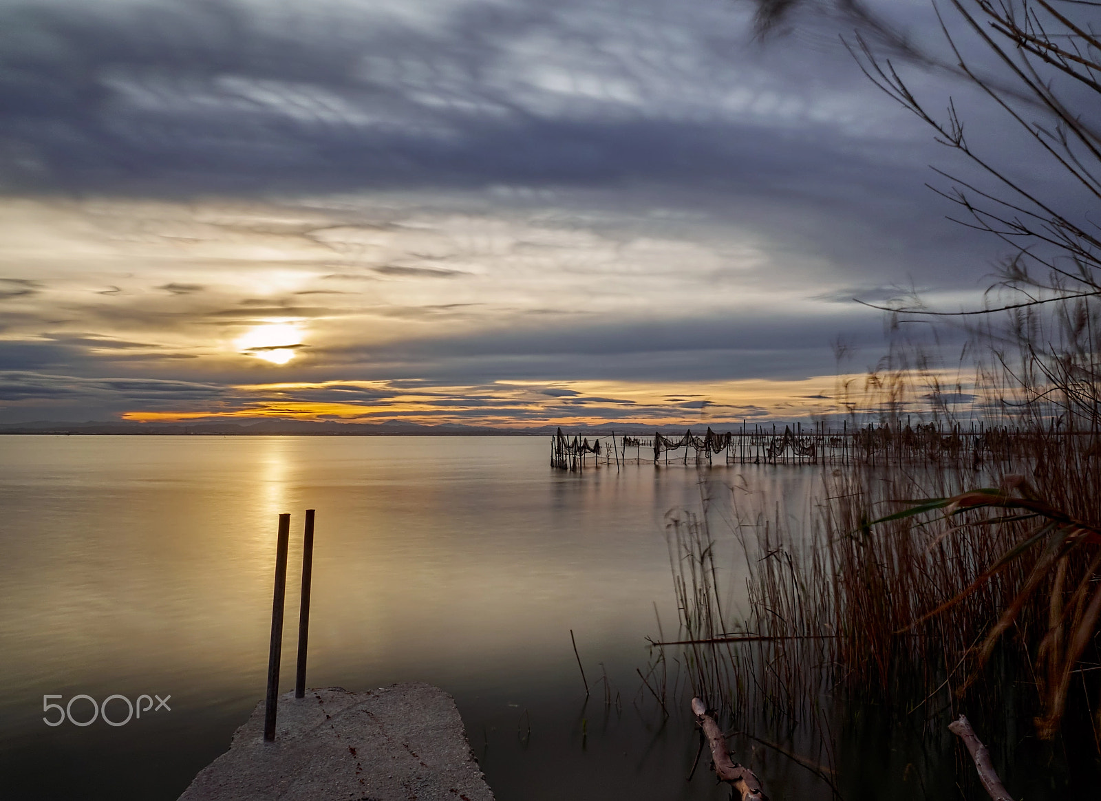 Olympus OM-D E-M1 + Olympus M.ZUIKO DIGITAL ED 12-40mm 1:2.8 sample photo. Invierno en la albufera photography