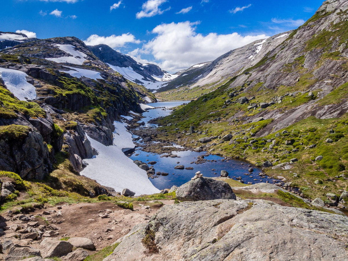 Olympus M.Zuiko Digital 14-42mm F3.5-5.6 II R sample photo. Norway summer's day photography
