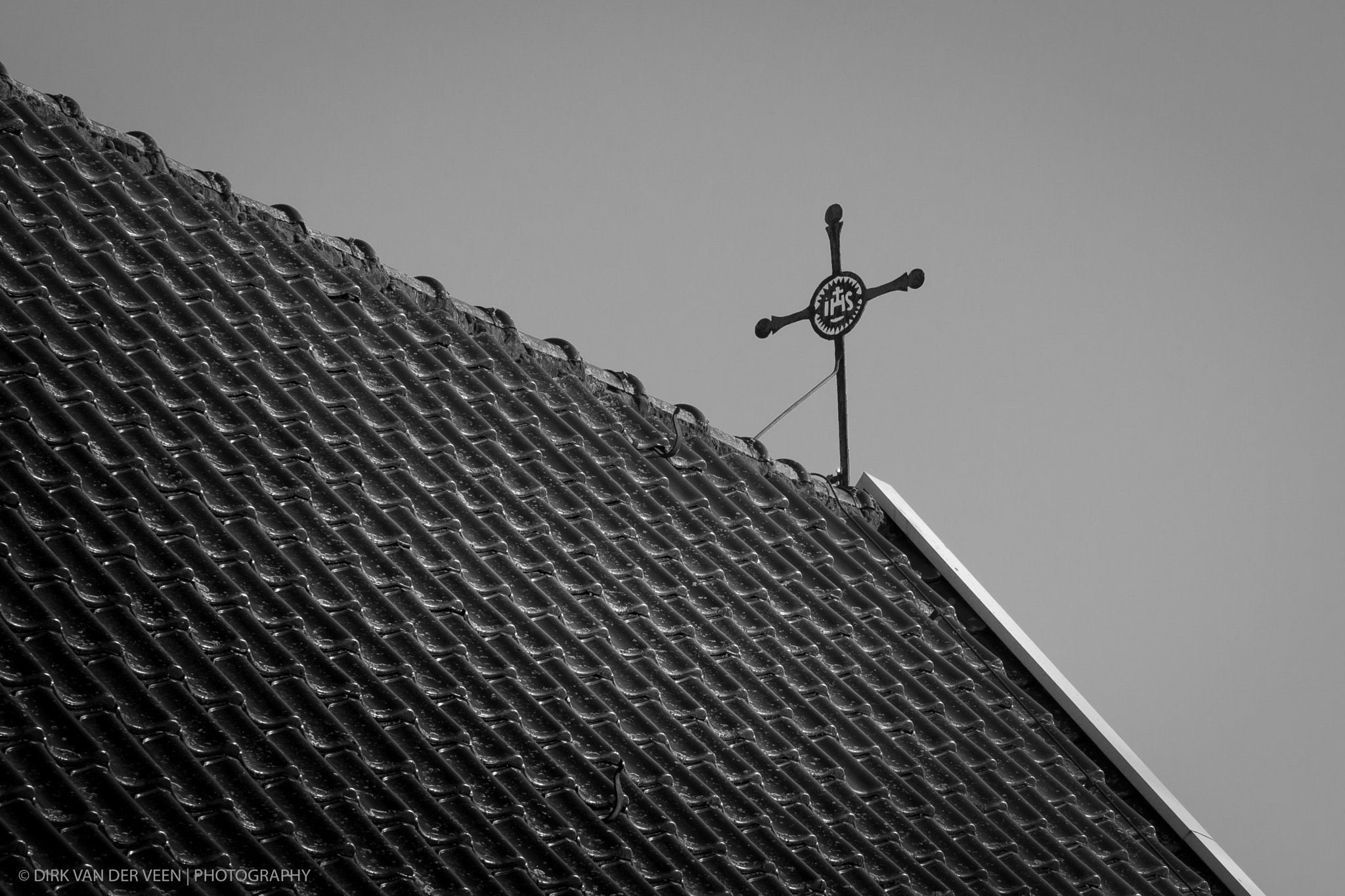 Canon EOS 1000D (EOS Digital Rebel XS / EOS Kiss F) sample photo. "looking up..." photography