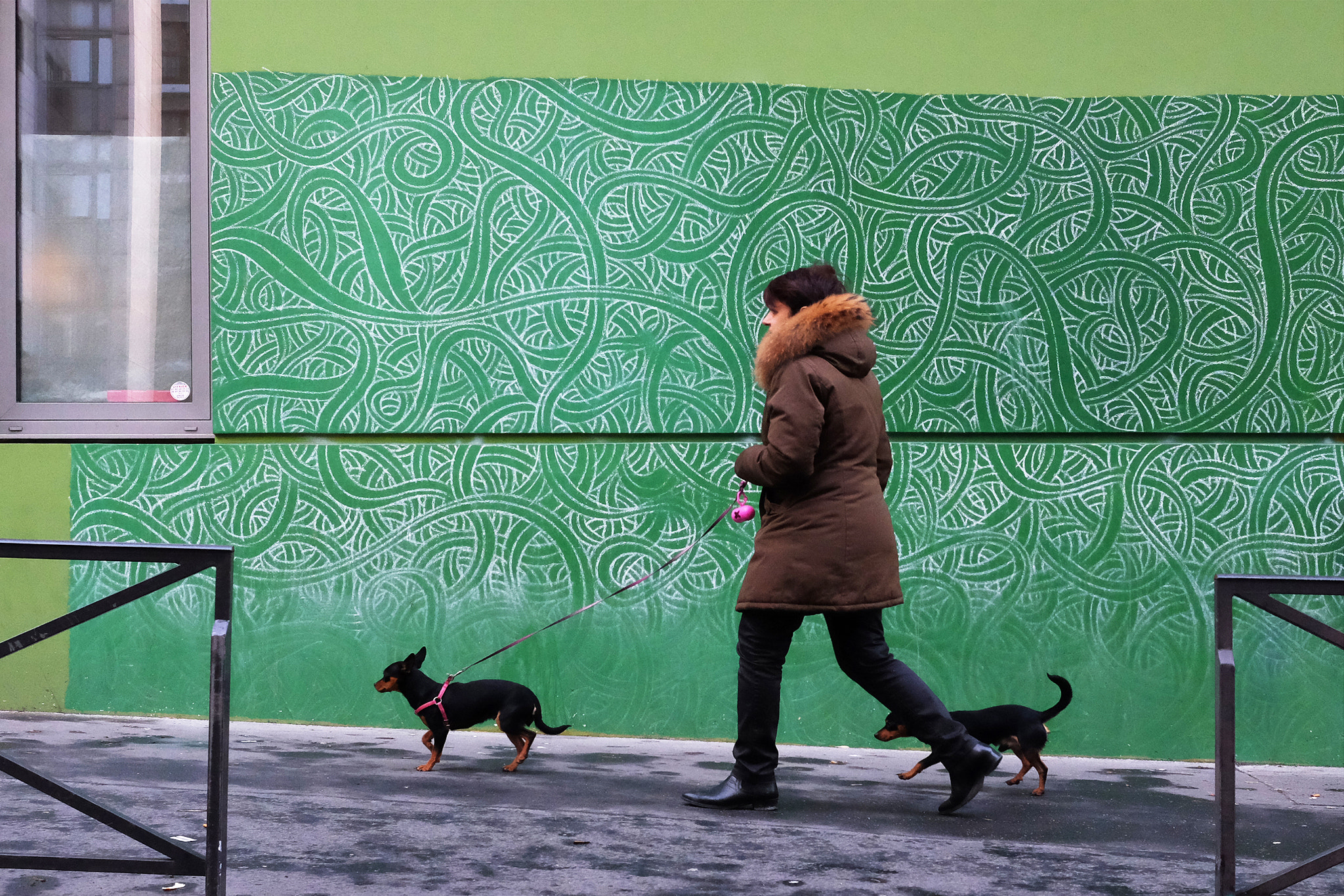 Fujifilm X-T10 + Fujifilm XF 27mm F2.8 sample photo. Two dogs photography