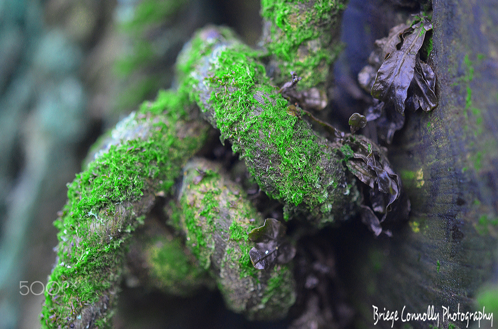 Nikon AF-S Micro-Nikkor 60mm F2.8G ED sample photo. Down by the sea shore photography