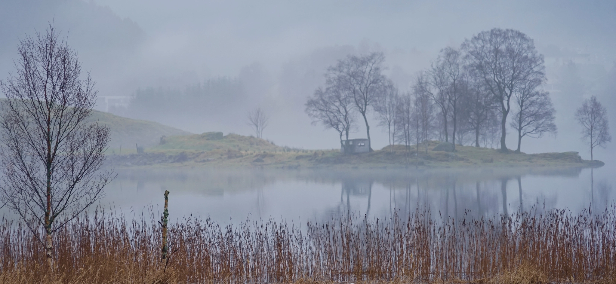Sony a7 + Sony FE 24-240mm F3.5-6.3 OSS sample photo. In the fog. langavatnet in bergen, norway photography