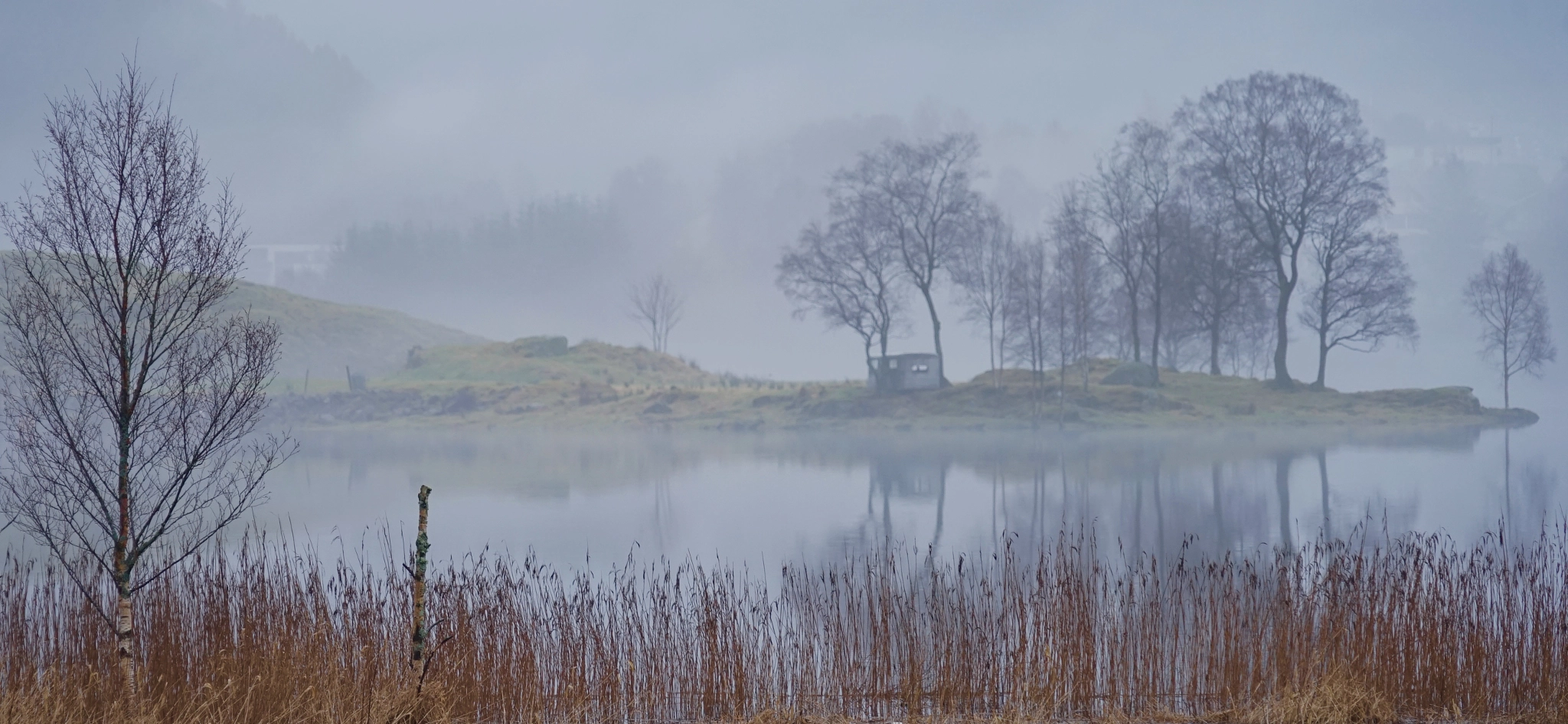 Sony FE 24-240mm F3.5-6.3 OSS sample photo. In the fog. langavatnet in bergen, norway photography