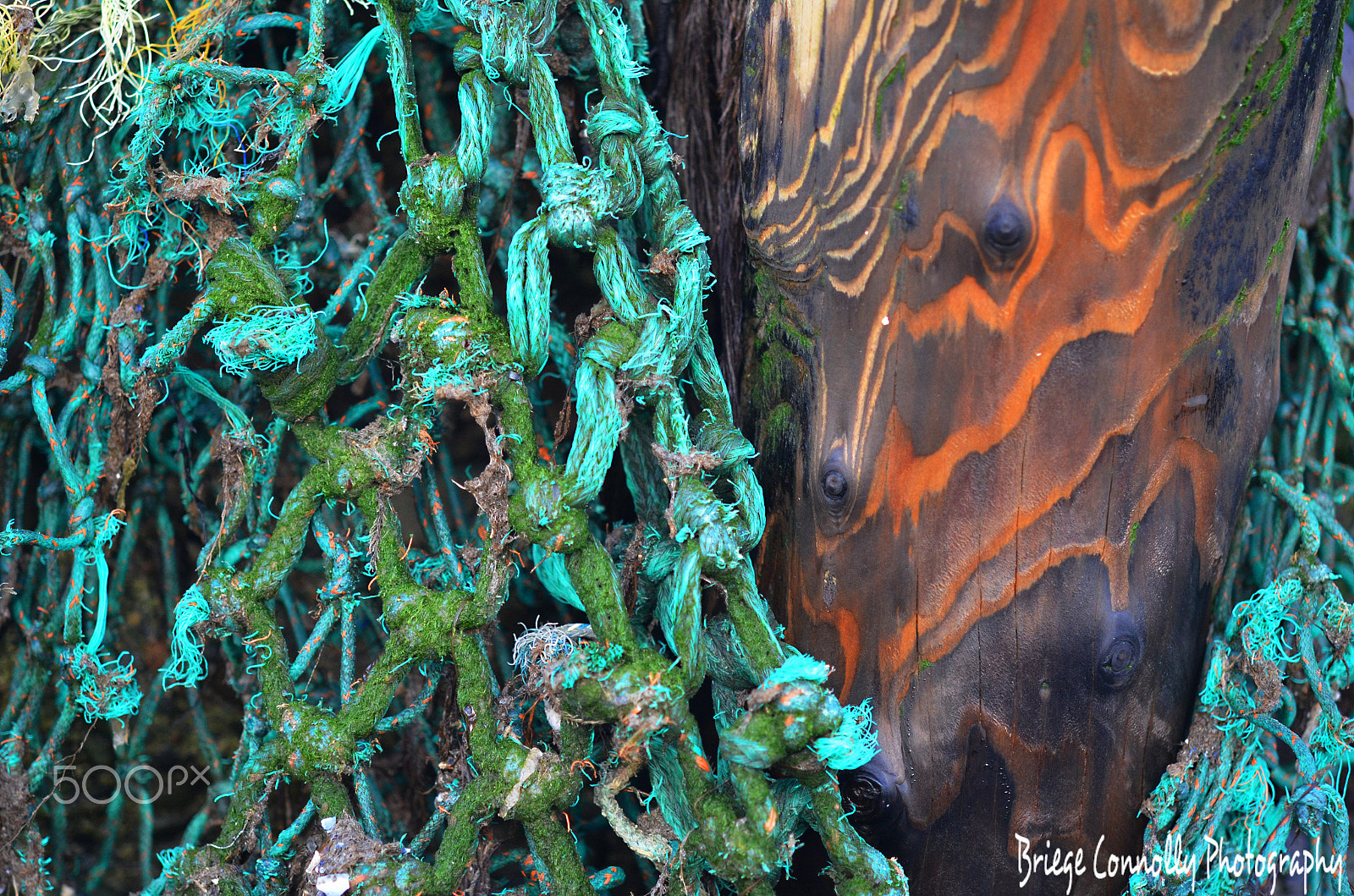 Nikon AF-S Micro-Nikkor 60mm F2.8G ED sample photo. Down by the sea shore 1 photography