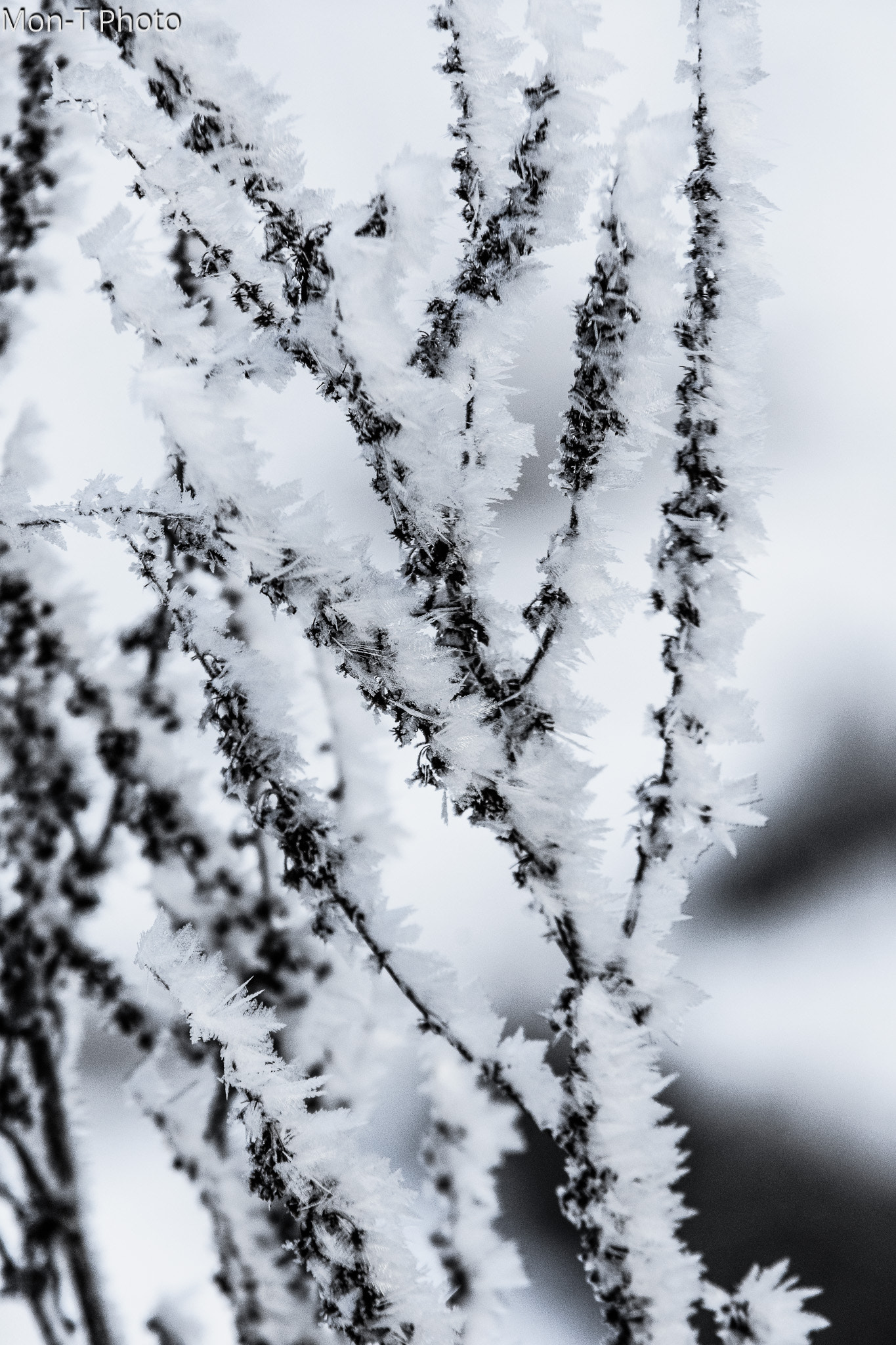 Sigma 70-200mm F2.8 EX DG OS HSM sample photo. Bad urach photography