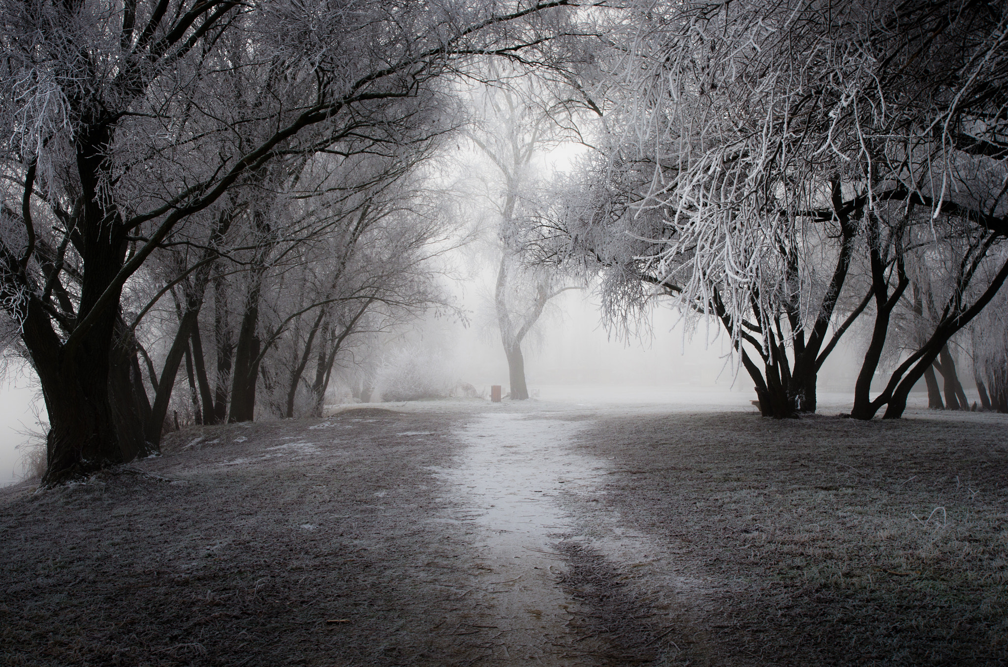 Pentax K-5 sample photo. -colorless morning- photography