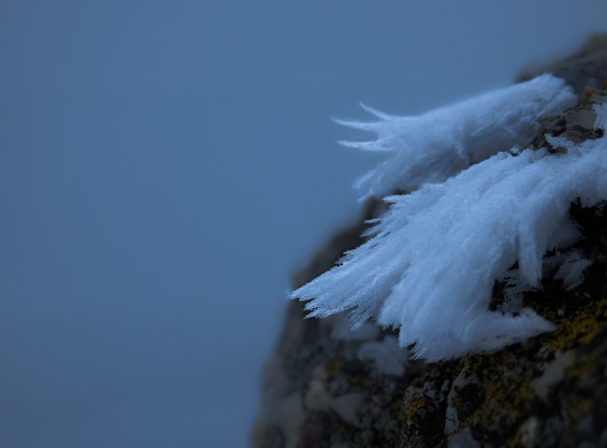 Olympus SZ-31MR sample photo. Frozen snow. photography