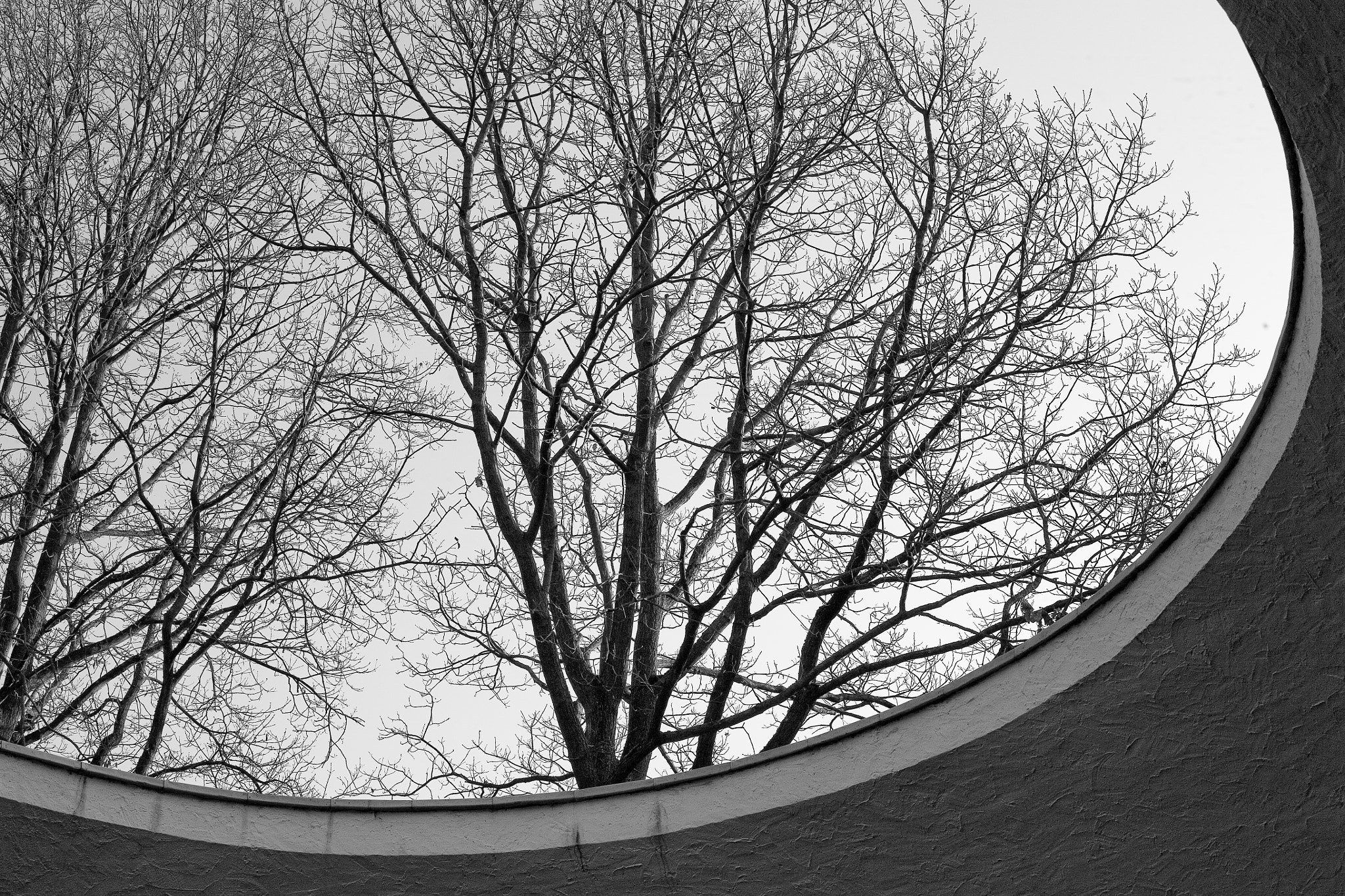 Canon EOS 5D sample photo. Ausblick auf bäume photography