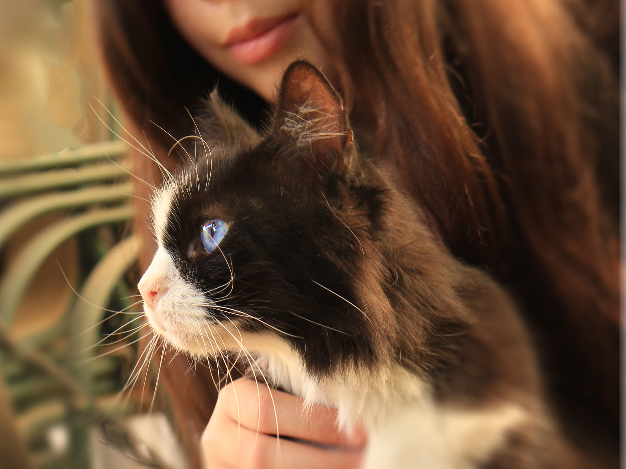 Canon EOS 700D (EOS Rebel T5i / EOS Kiss X7i) sample photo. Softness photography