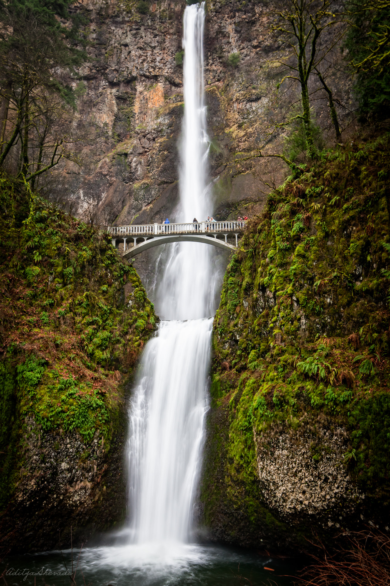 Canon EOS-1Ds Mark III + Canon EF 16-35mm F4L IS USM sample photo. Multnomah falls photography