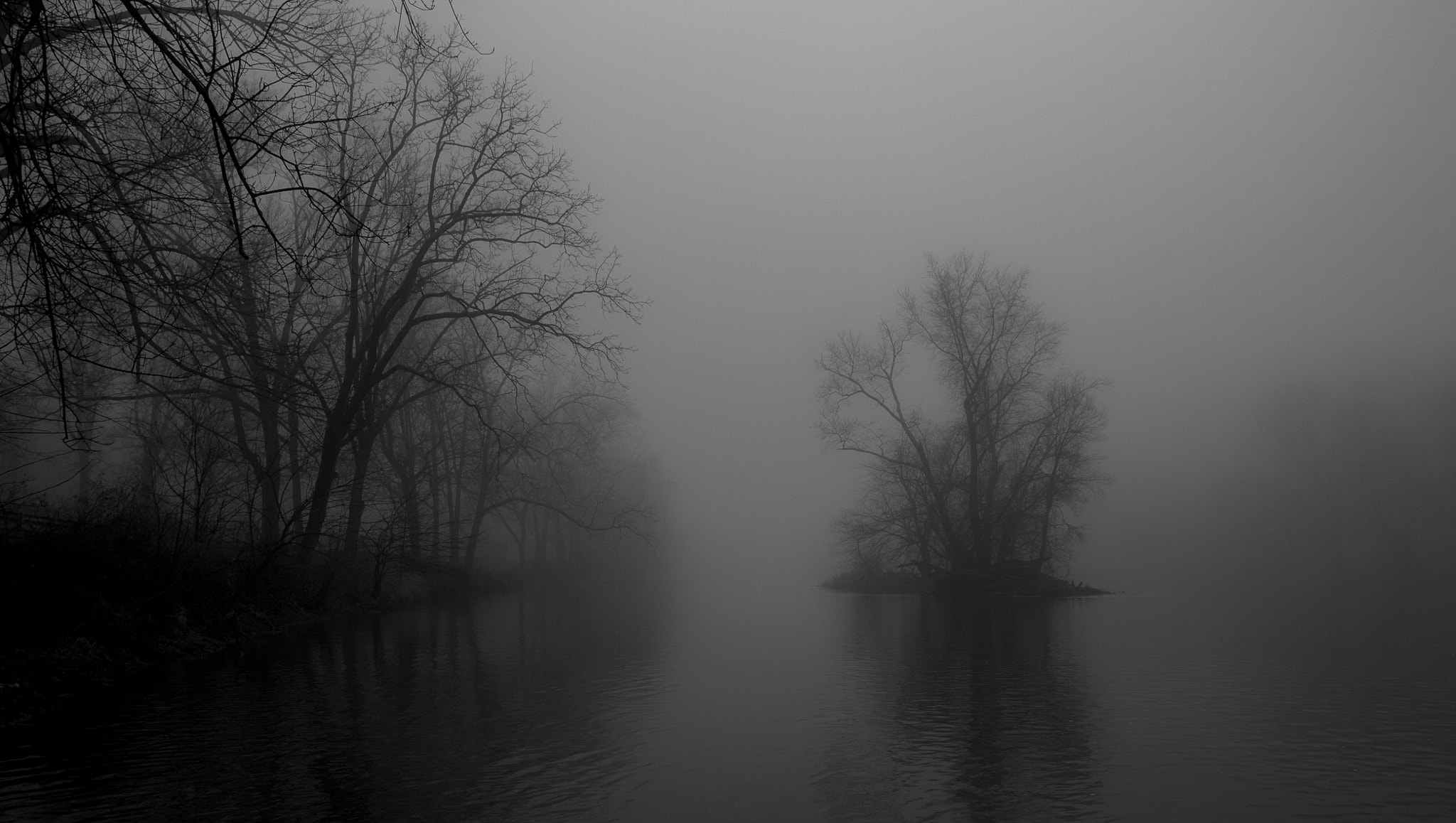 Canon EOS 1100D (EOS Rebel T3 / EOS Kiss X50) sample photo. Foggy creek photography