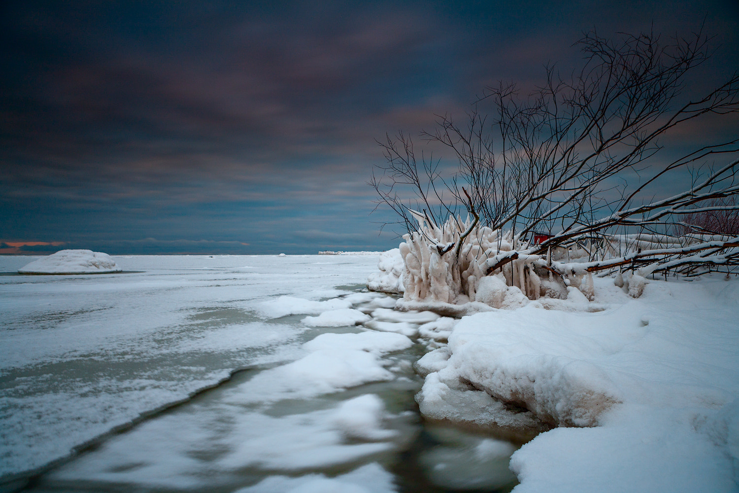 Canon EOS-1Ds Mark II sample photo. Yx photography