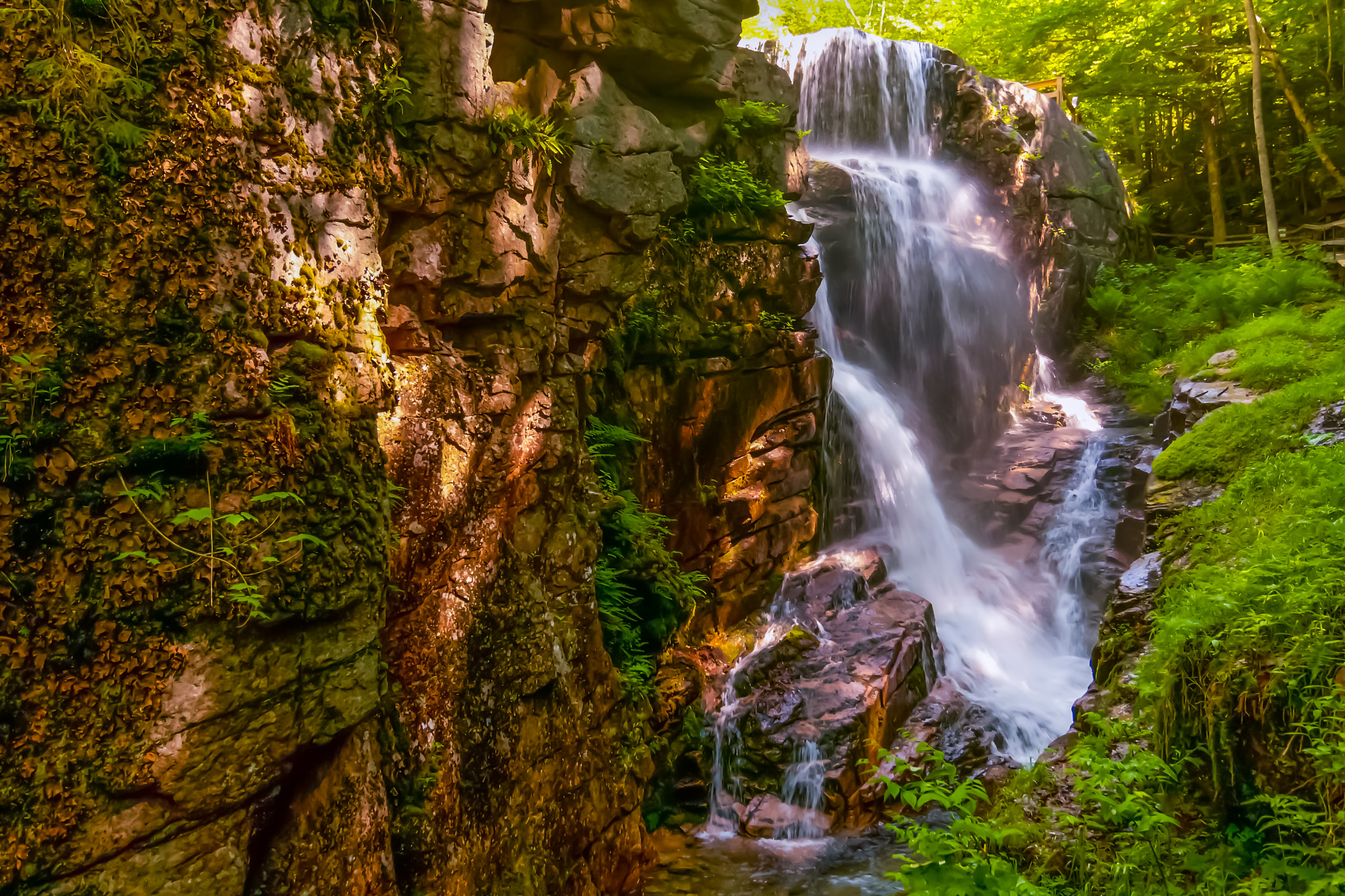 Canon EOS 40D + Tokina AT-X Pro 12-24mm F4 (IF) DX sample photo. Nh-franconia notch st pk.-avalanche falls photography