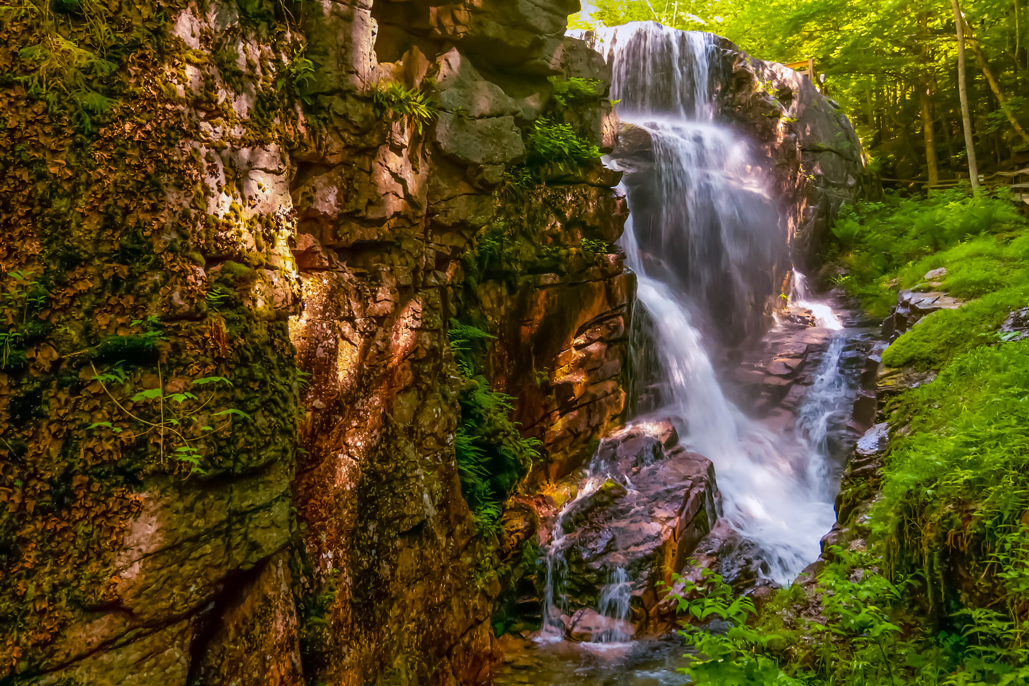 Tokina AT-X Pro 12-24mm F4 (IF) DX sample photo. Nh-franconia notch st pk.-avalanche falls photography